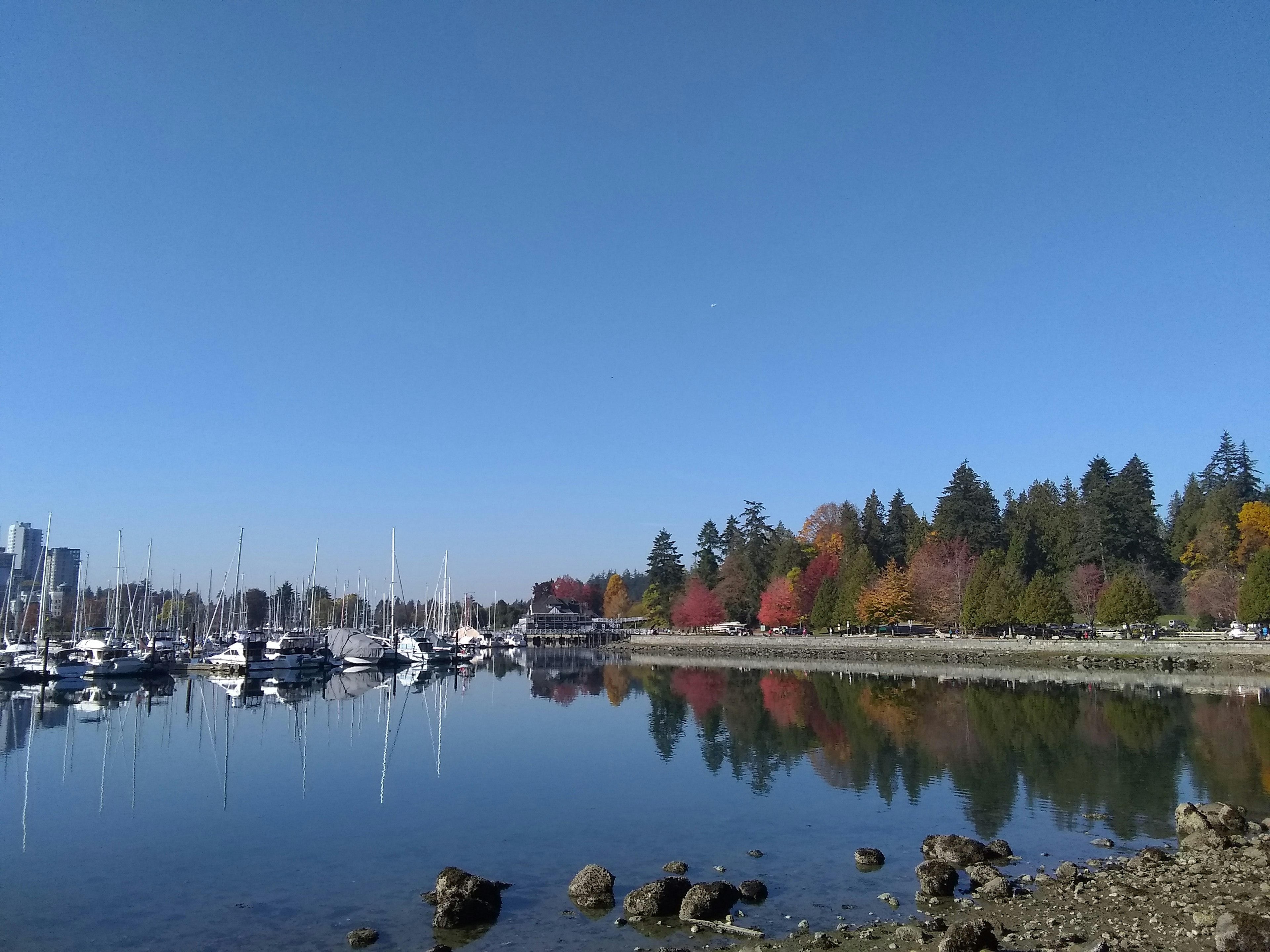 Vue pittoresque de yachts et d'arbres d'automne reflétés dans l'eau calme sous un ciel bleu clair