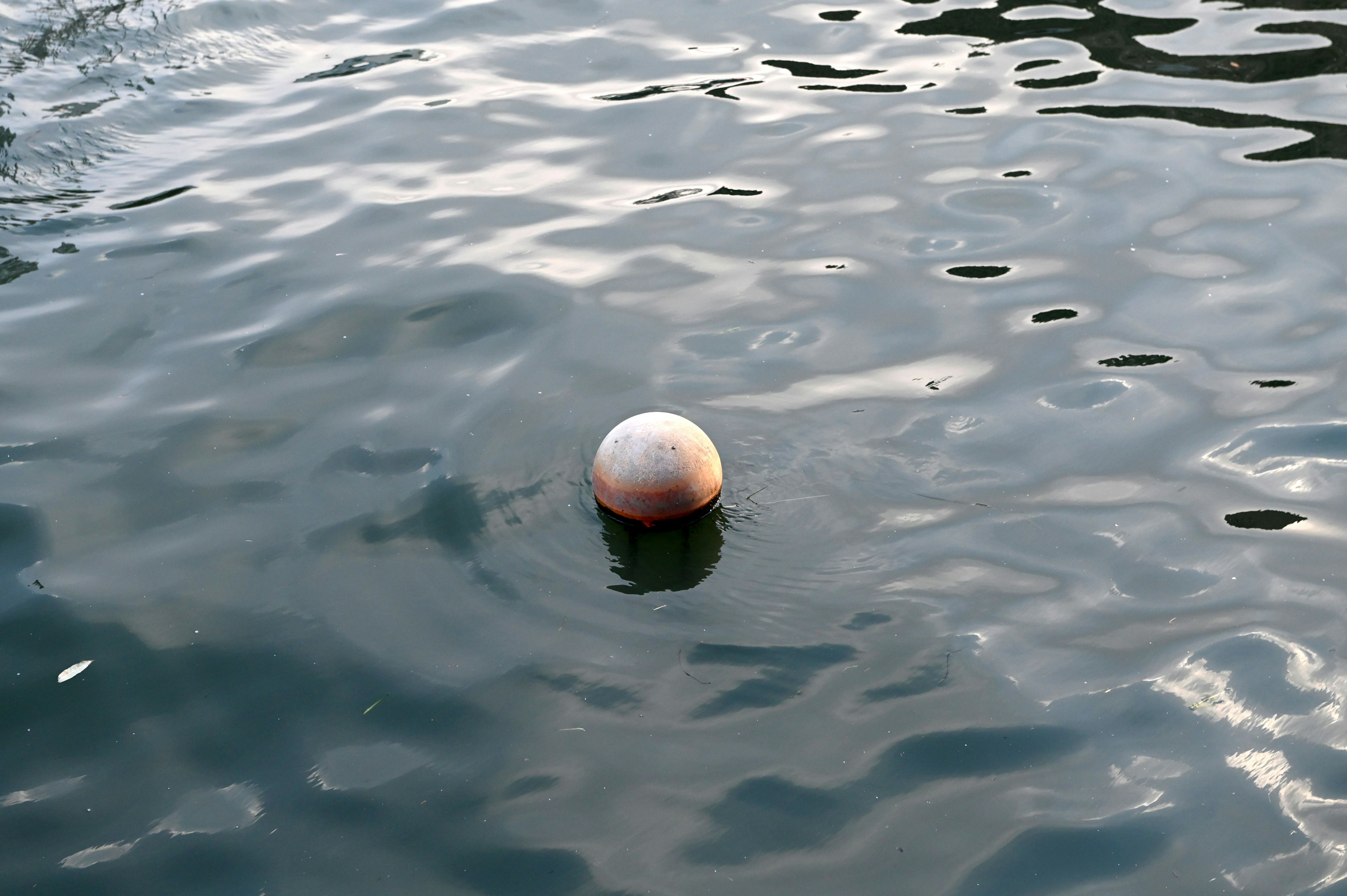 Une bouée blanche flottant à la surface de l'eau