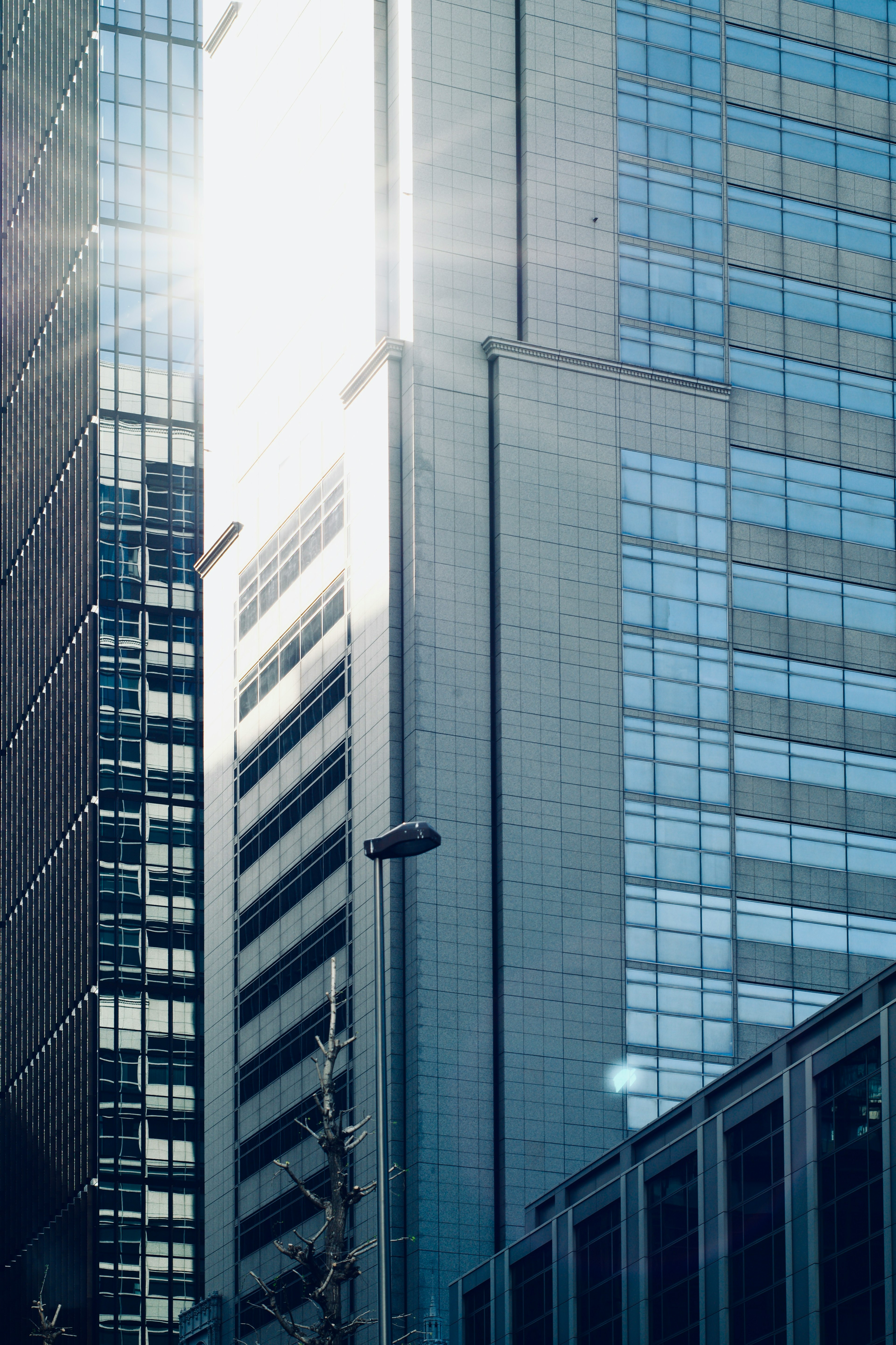 Urban landscape showcasing reflections and light effects on skyscrapers