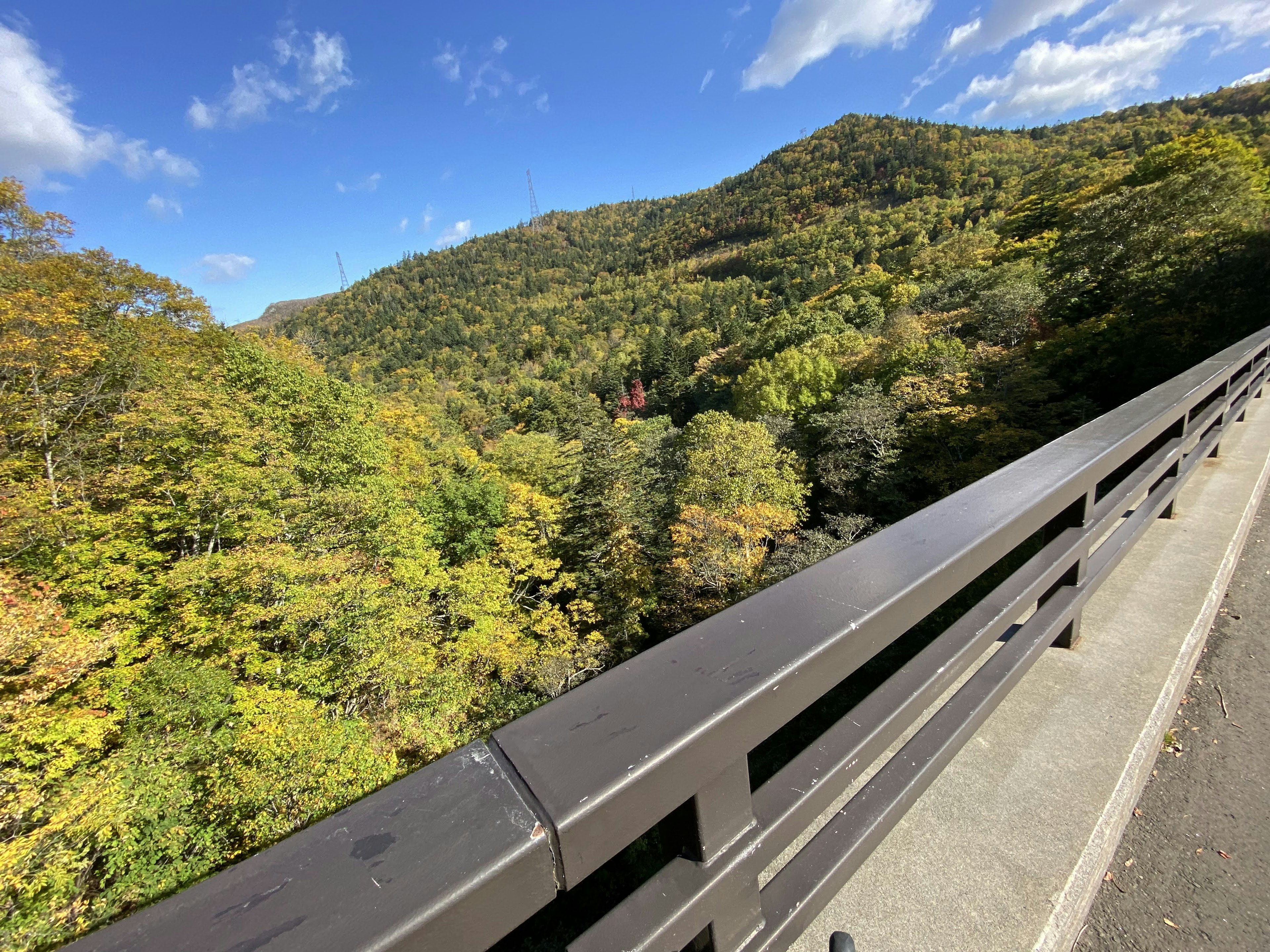 Vue depuis un pont entouré d'arbres colorés