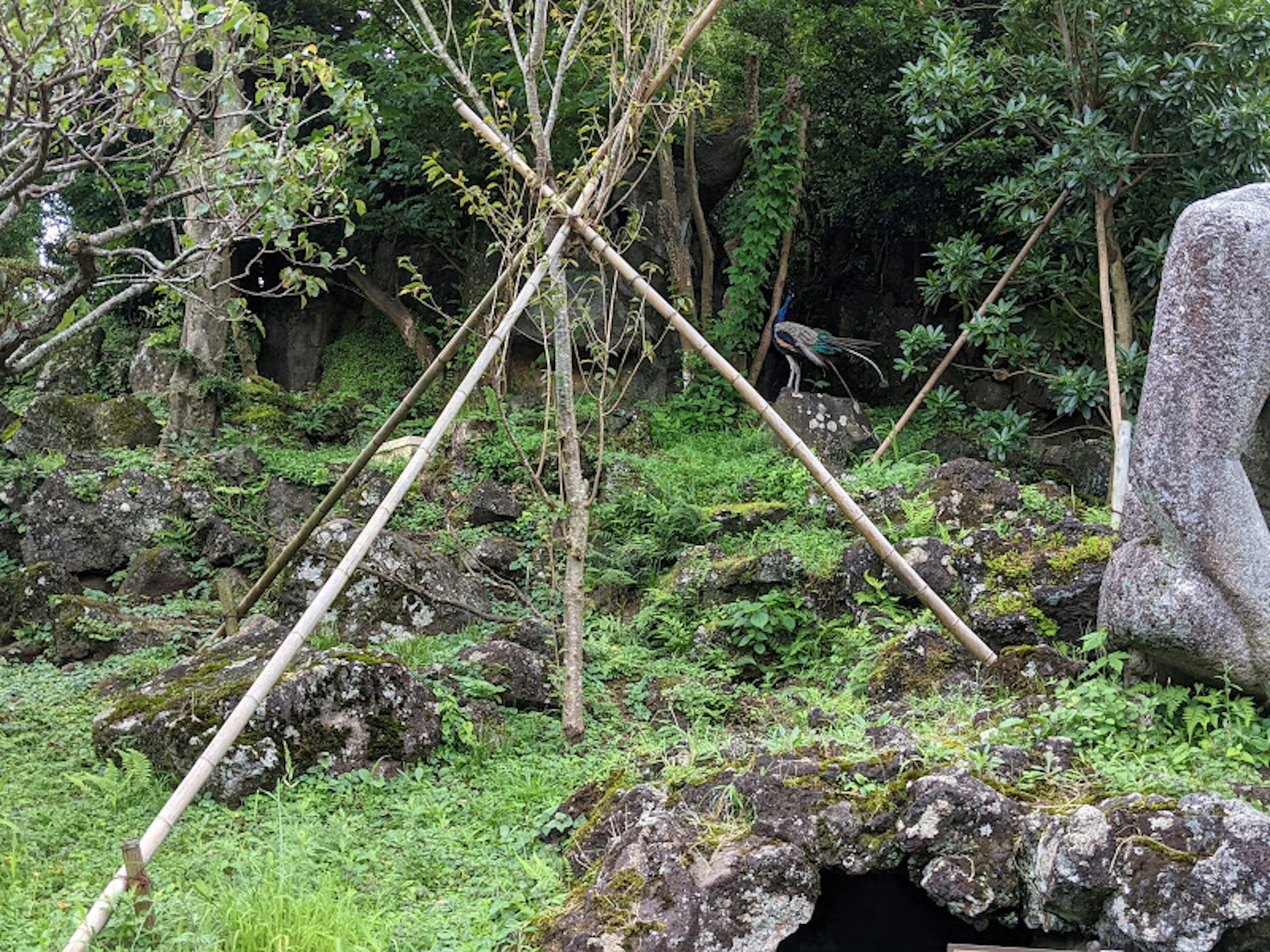 Steinskulptur in üppigem Grün und Bambusstützen