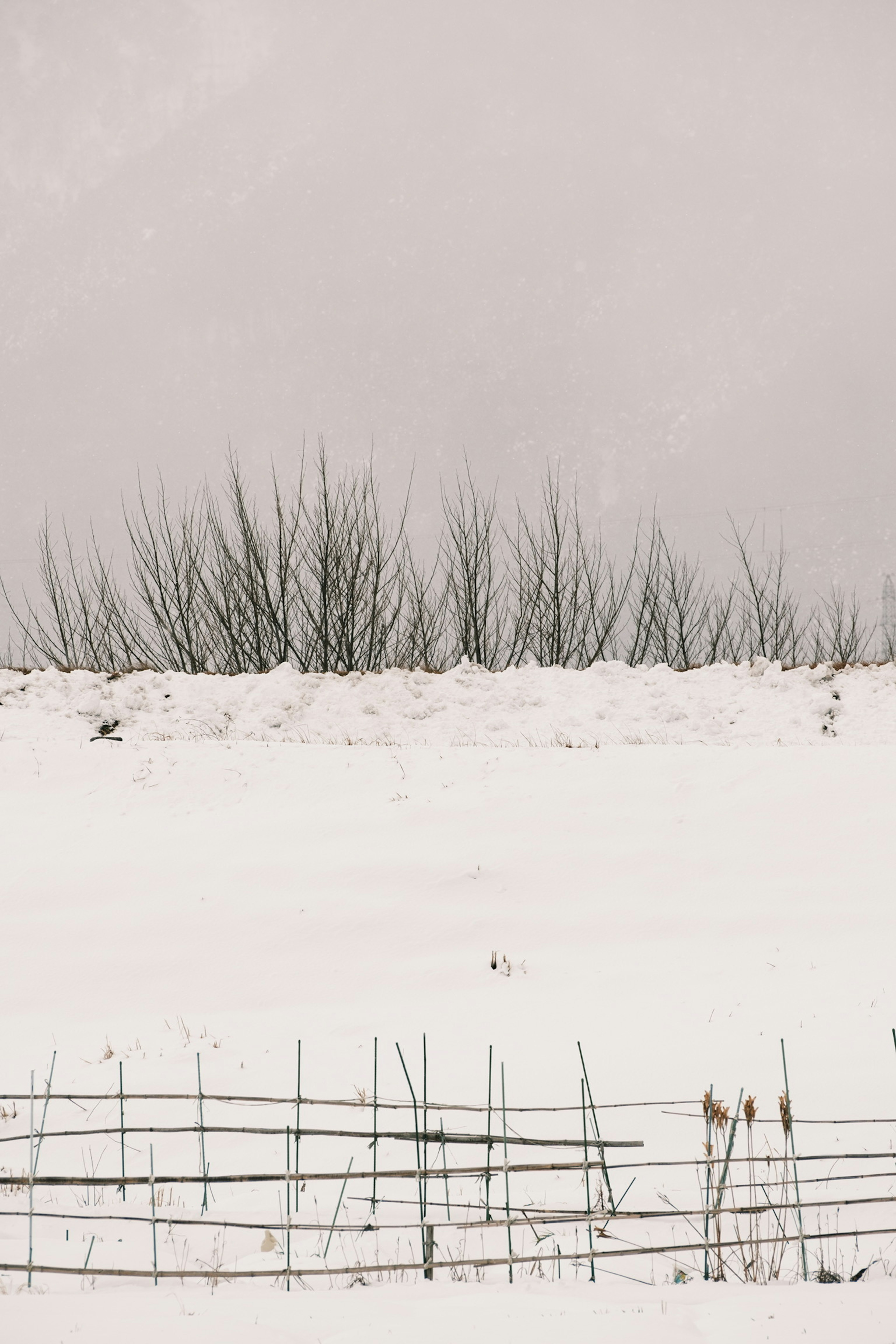 Schneebedeckte Landschaft mit niedrigen Sträuchern und einem Zaun