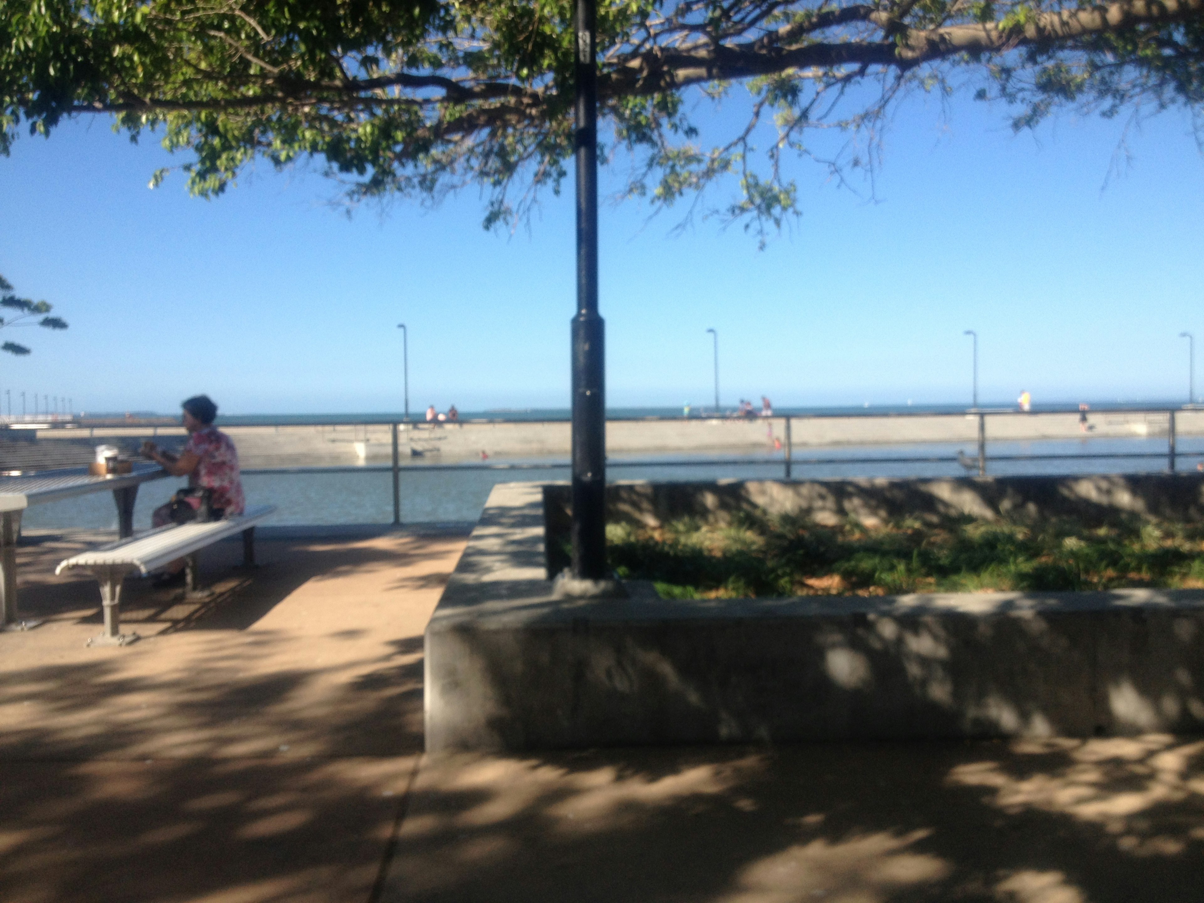 Una escena de parque tranquila con mar y cielo azules bancos y plantas