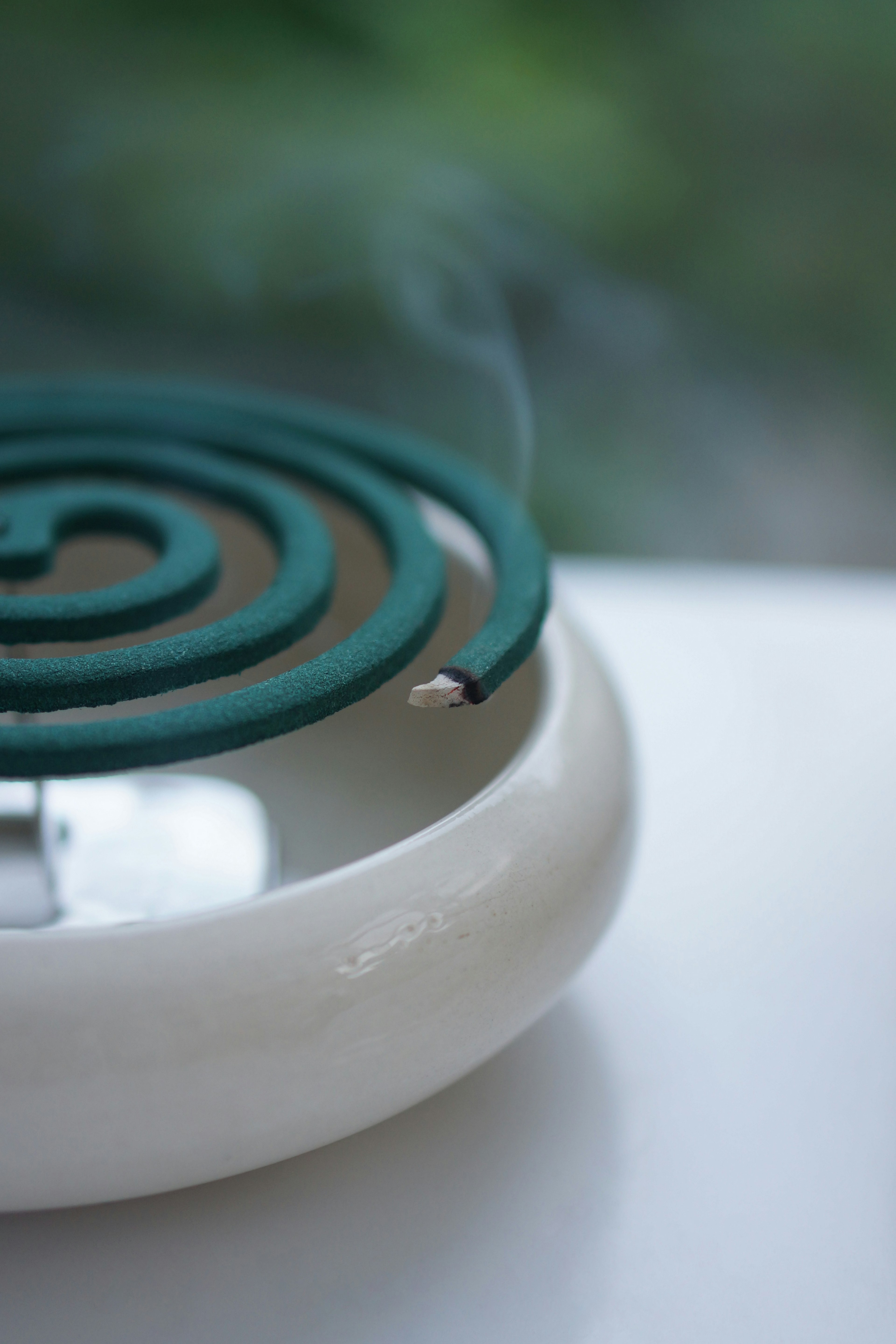 Green mosquito coil on a white dish with smoke rising