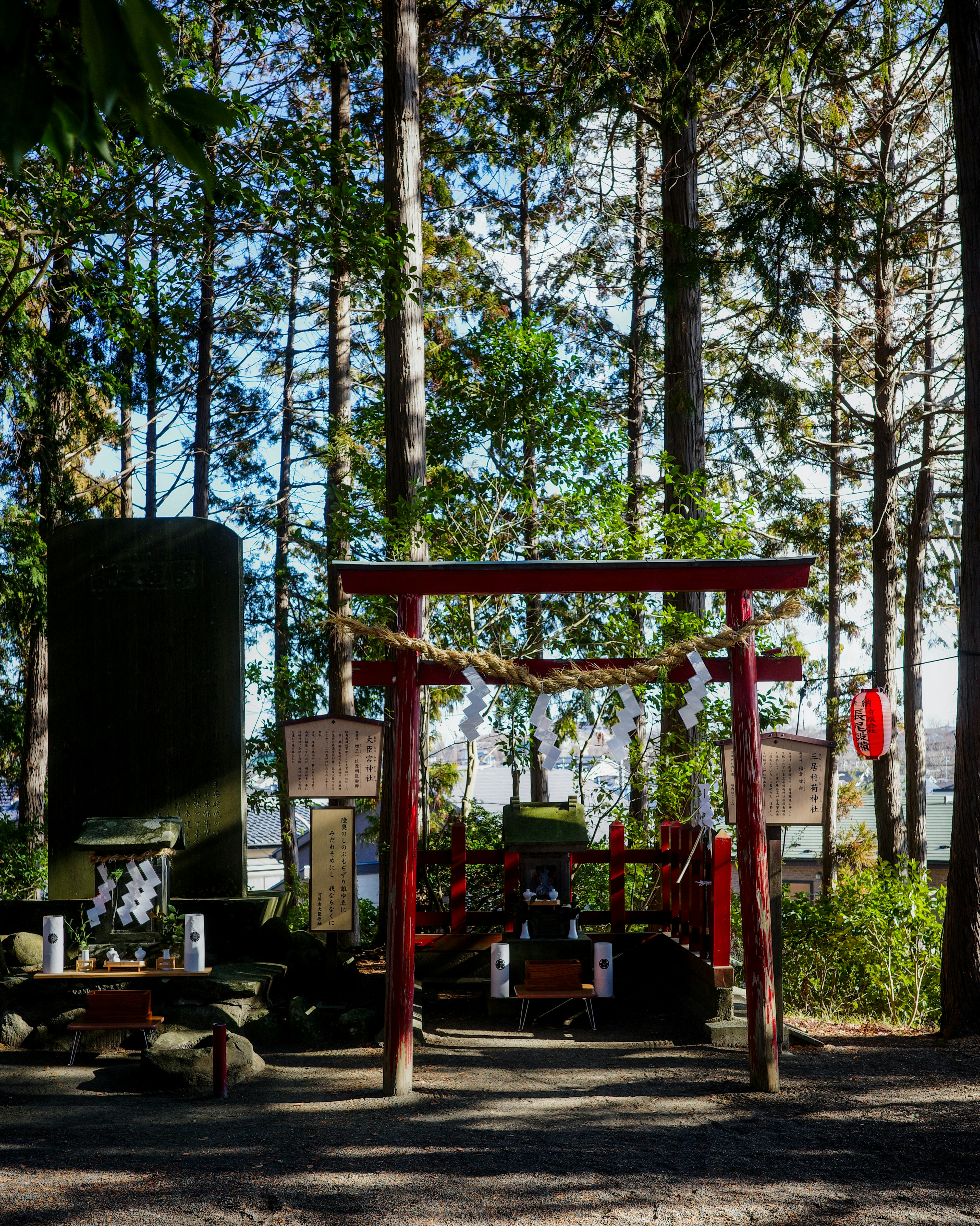 赤い鳥居と神社の祭壇が見える森の中の風景