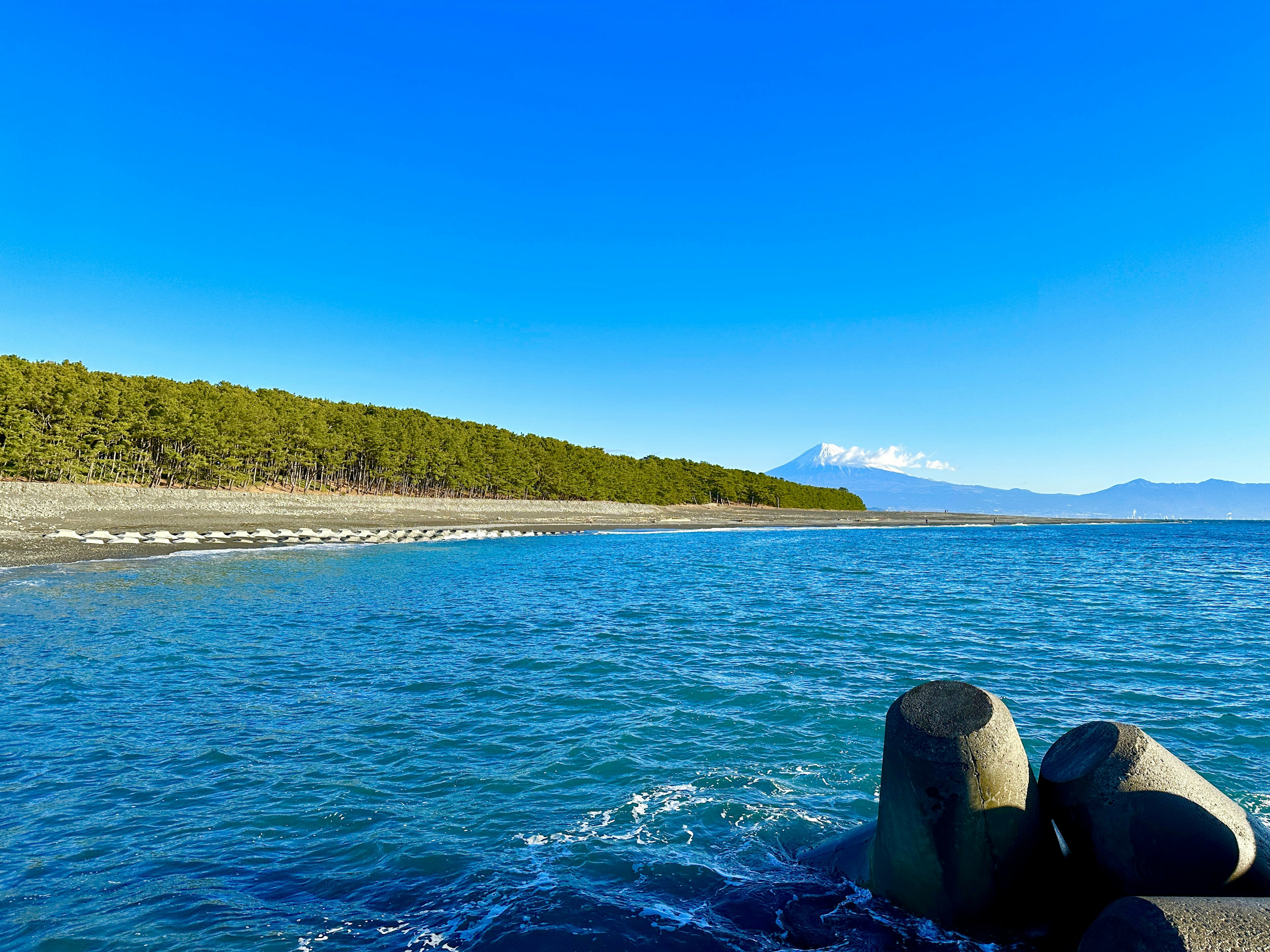 平静的海洋和蓝天的景色 绿色树木沿海岸线排列 远处可见雪山