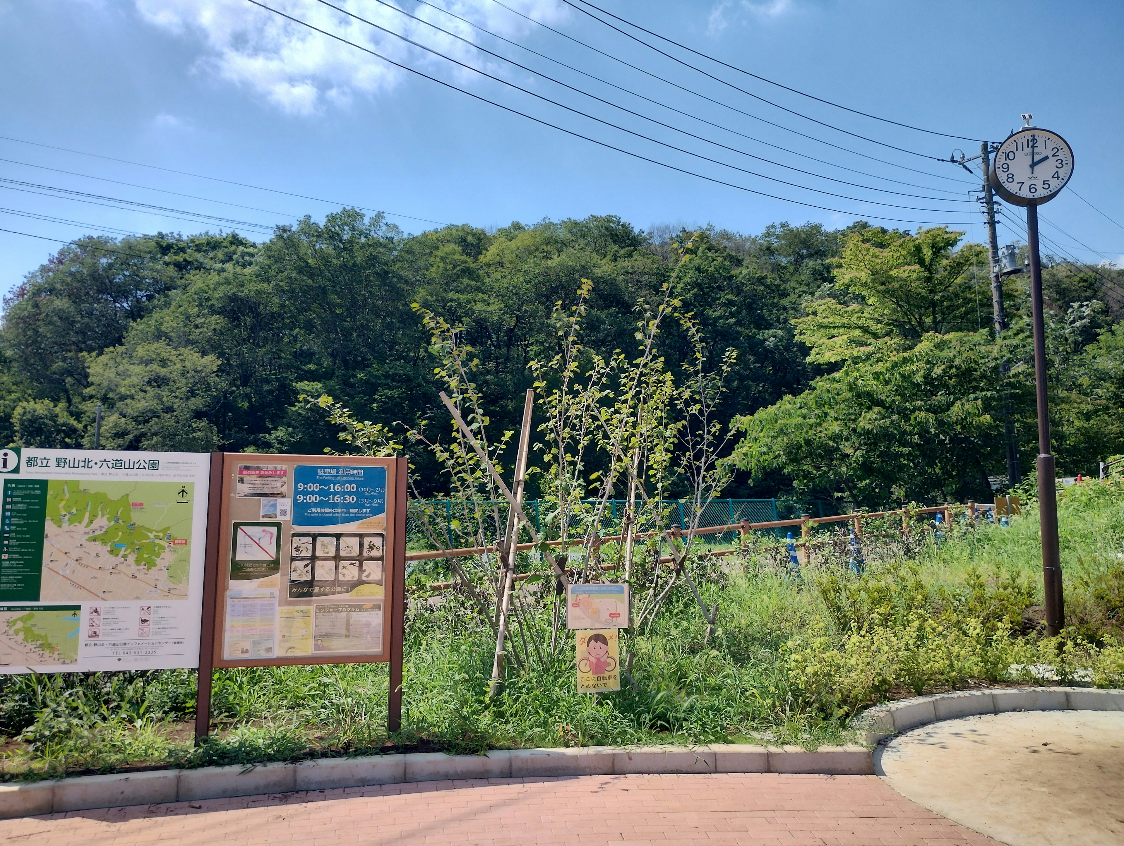 Panel de información del parque y reloj en un paisaje verde