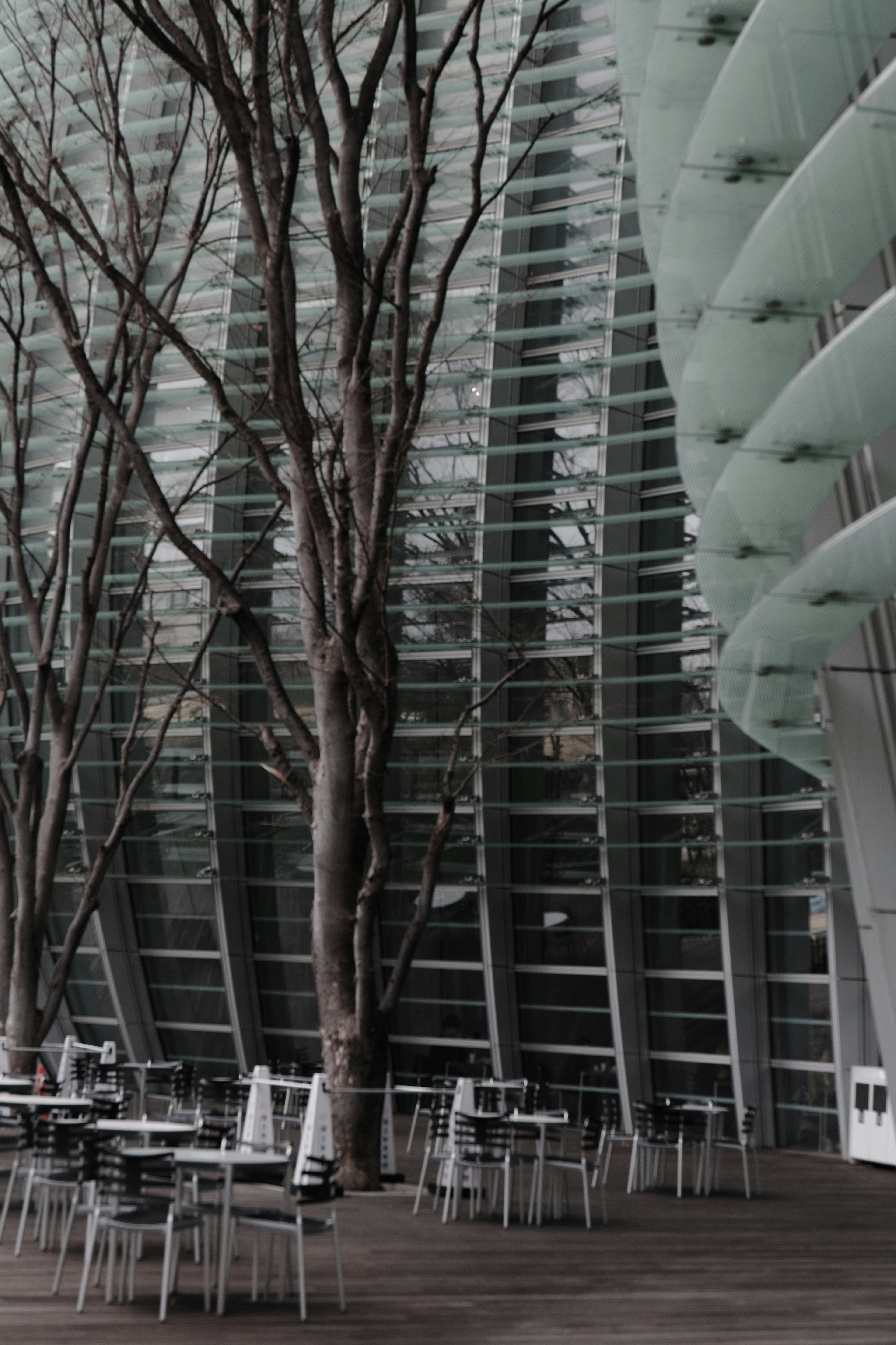 Zona de comedor al aire libre con arquitectura moderna y árboles