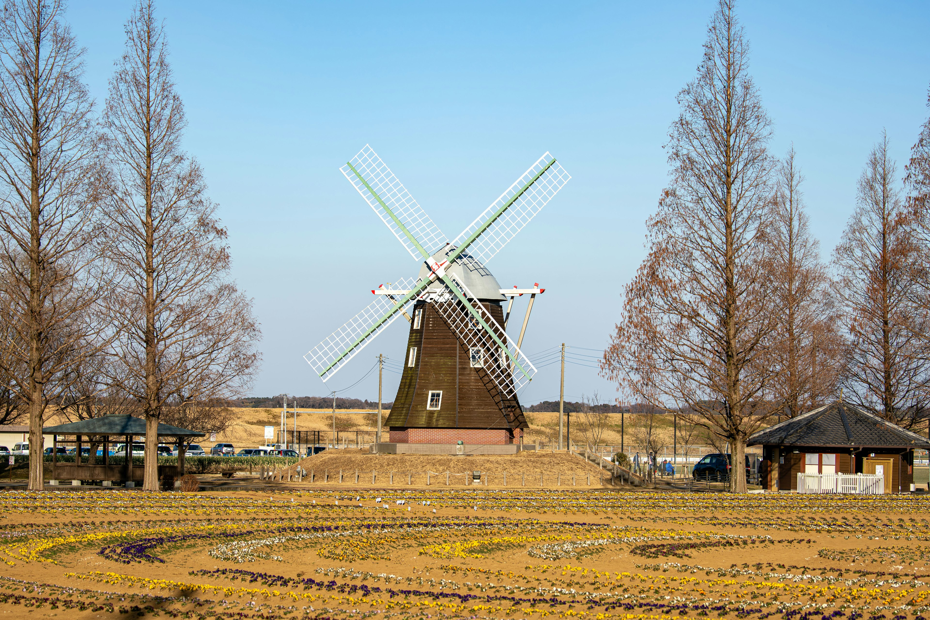 Moulin entouré d'arbres et de paysage ouvert