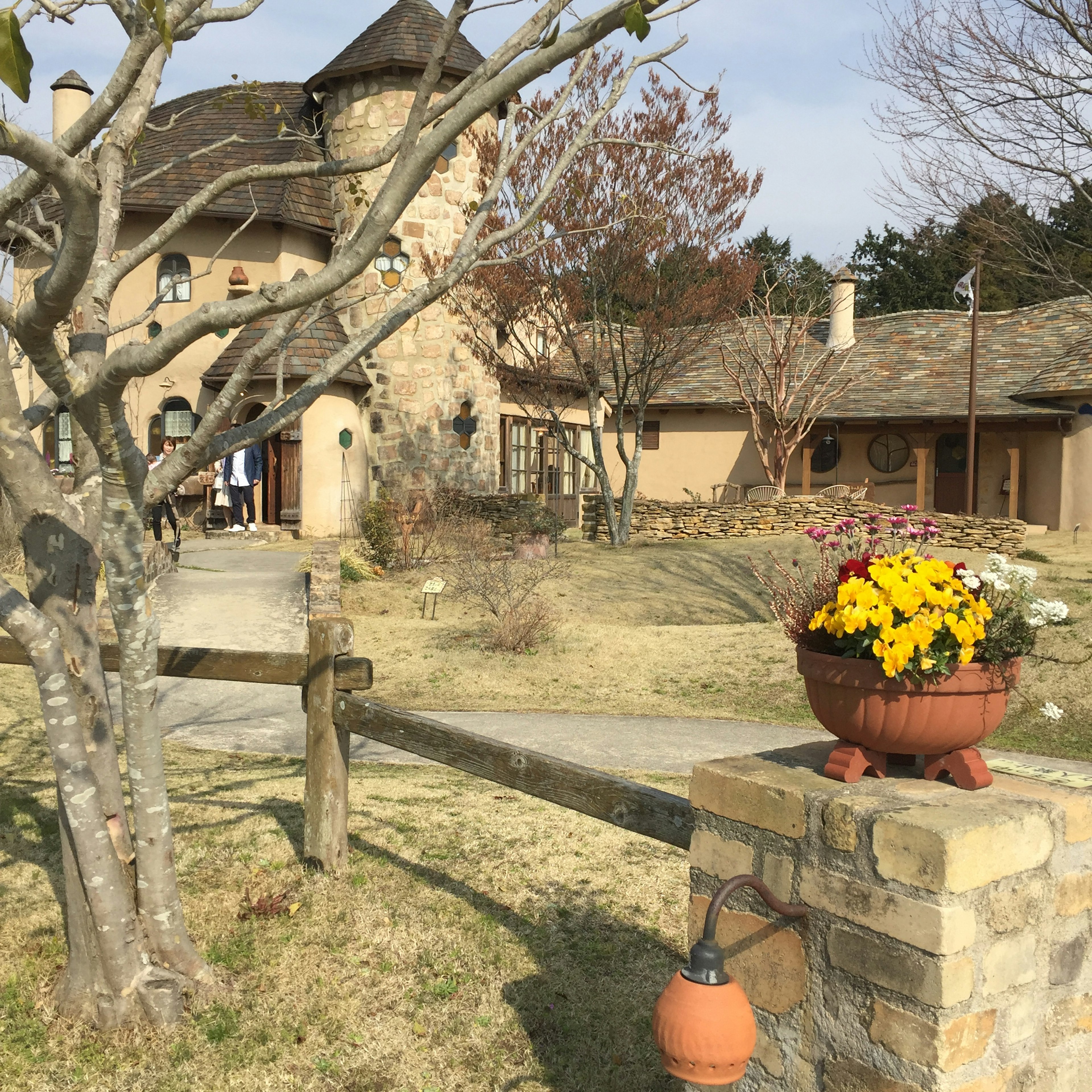 Casa in pietra con un vaso di fiori nel giardino