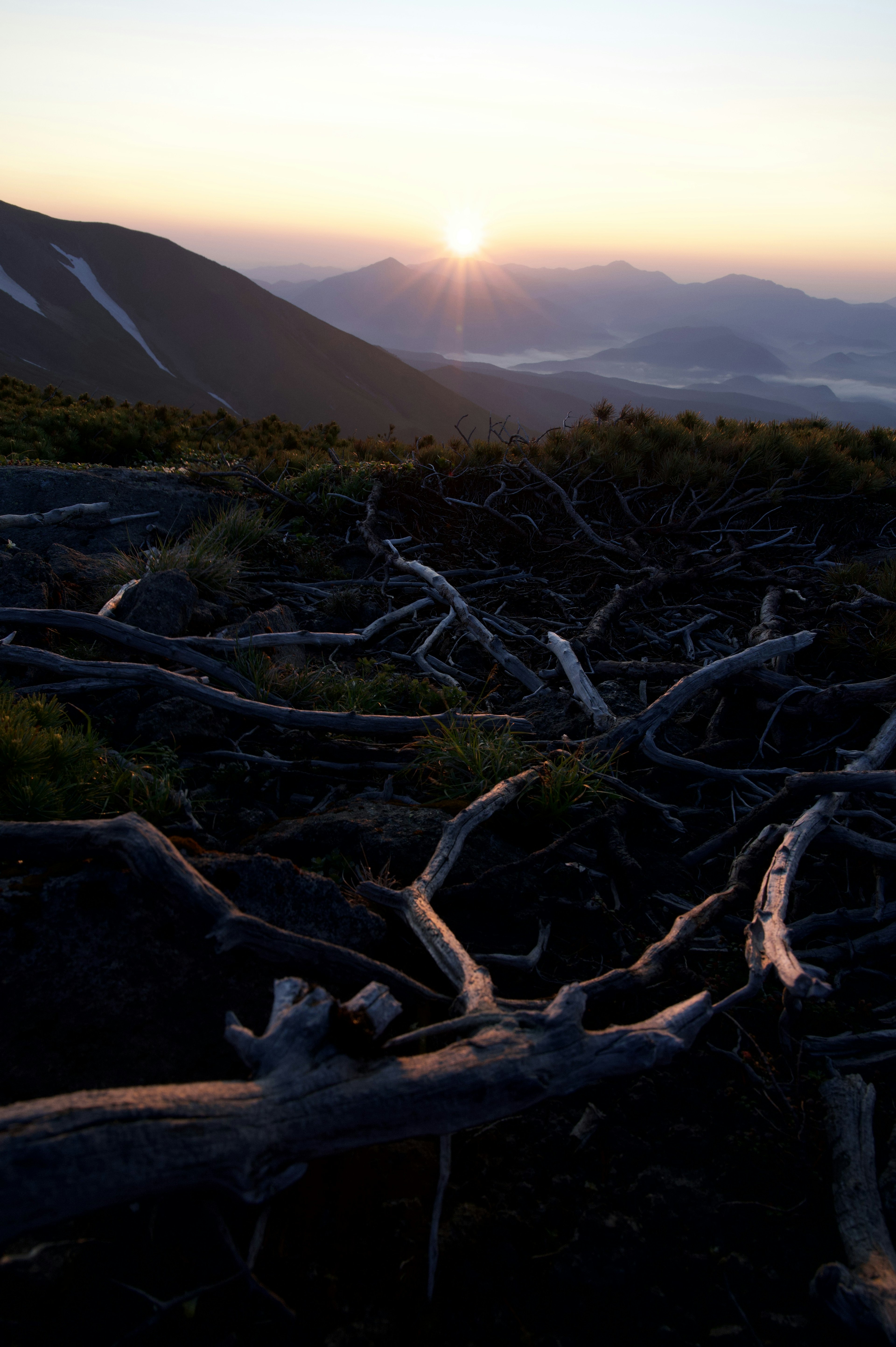 夕日が昇る山の風景と地面に広がる木の根