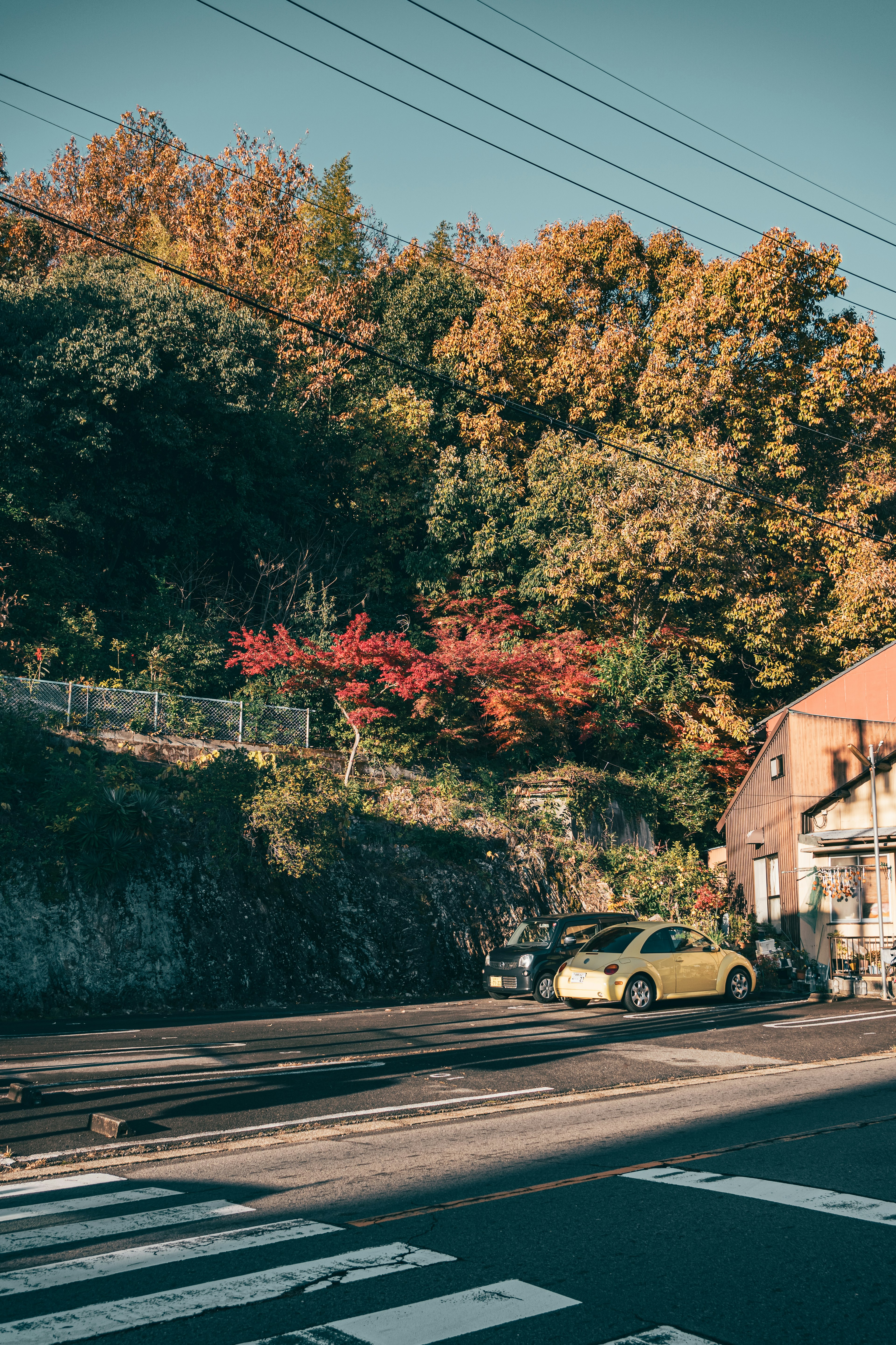 秋の色彩が美しい木々と黄色い車がある風景