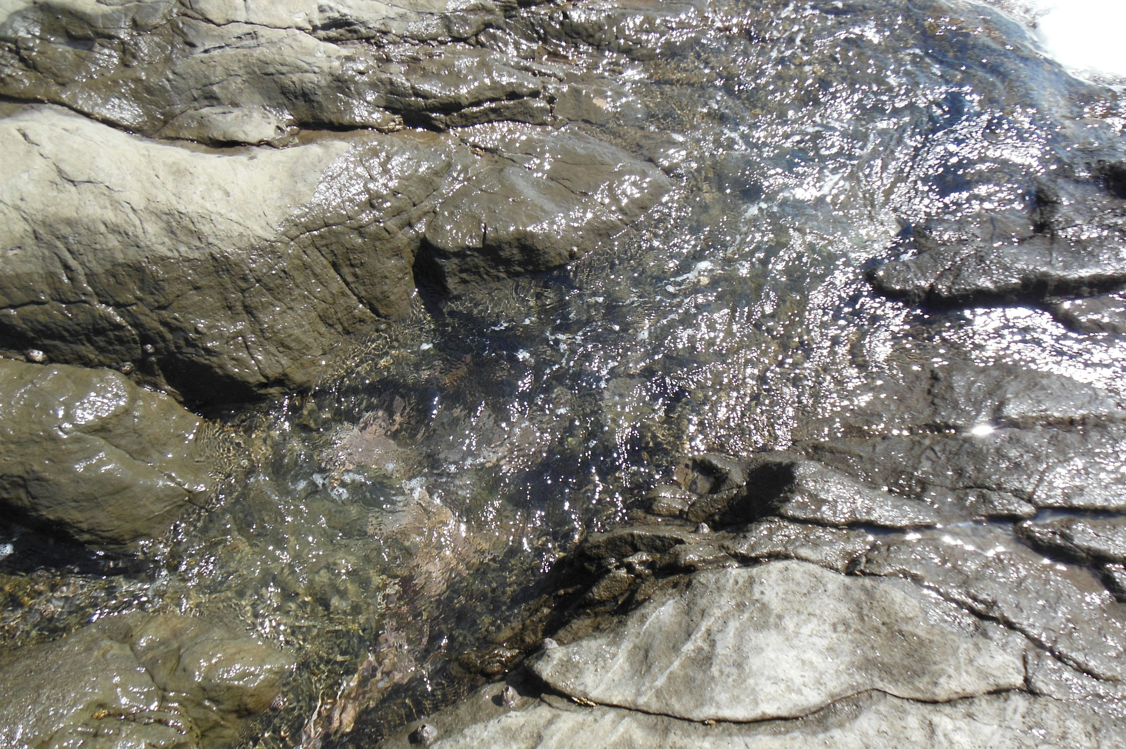 Primo piano dell'acqua che scorre su una superficie rocciosa