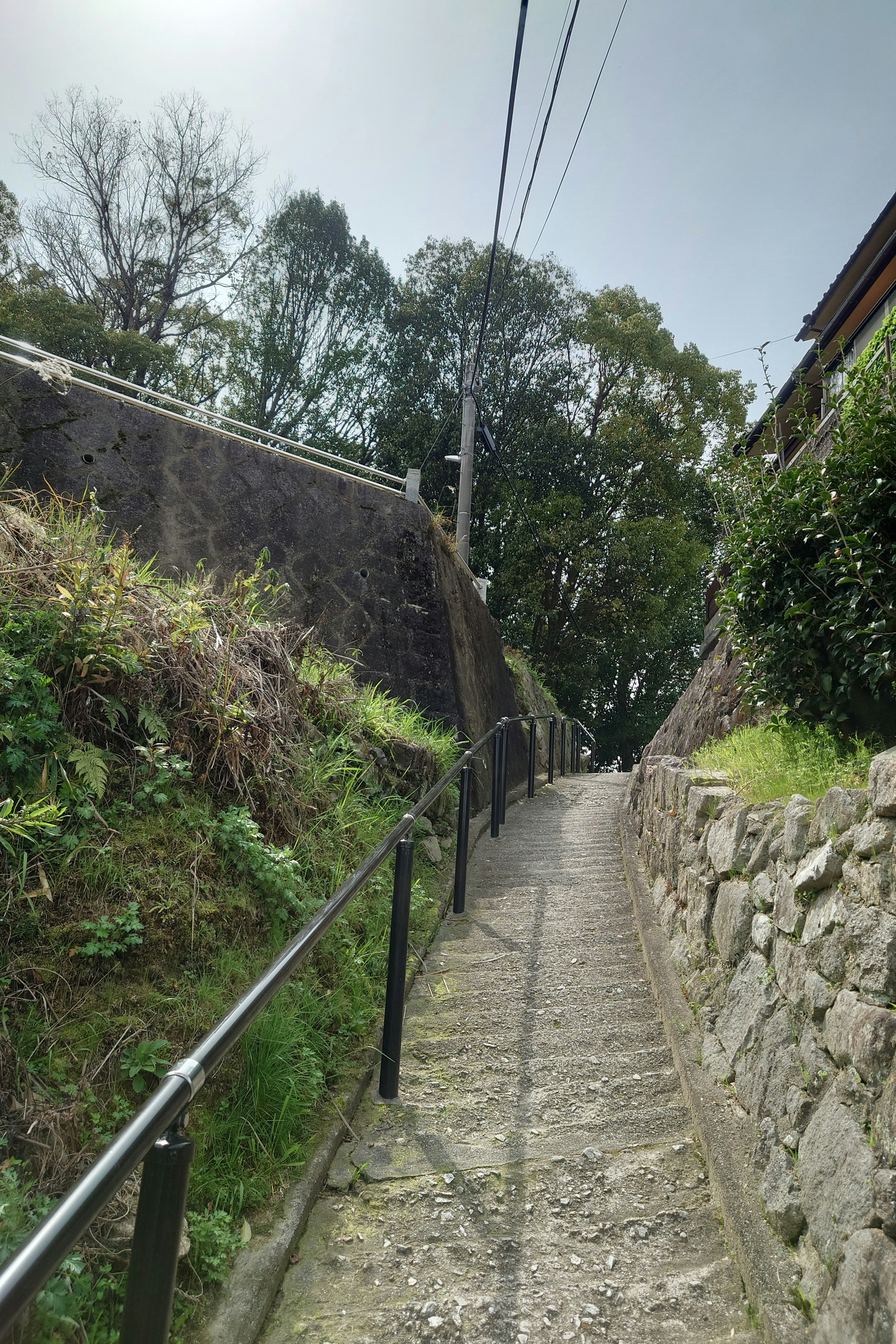 Un camino inclinado con vegetación exuberante y una pared de piedra