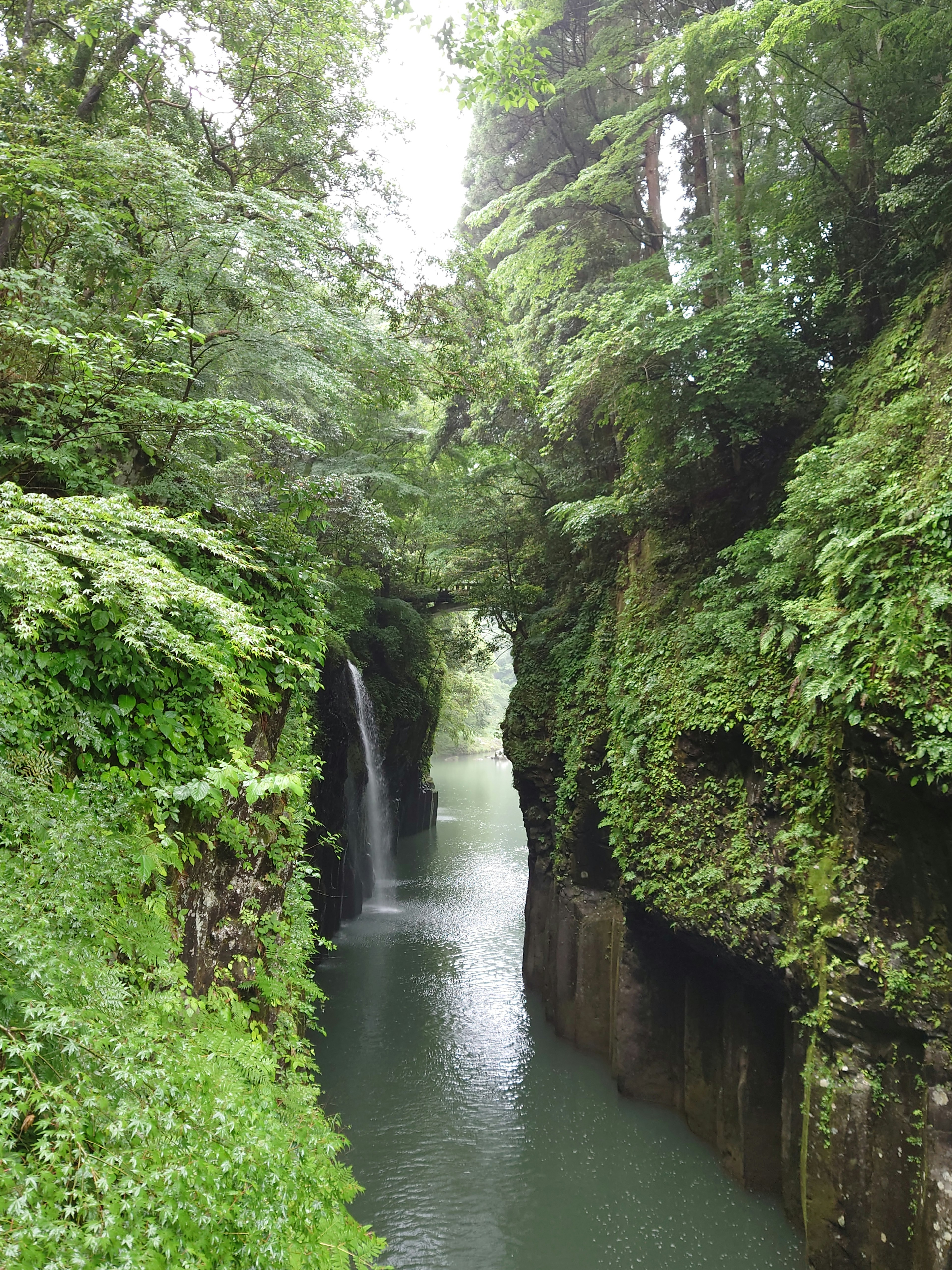 Vue pittoresque d'une cascade dans un canyon verdoyant