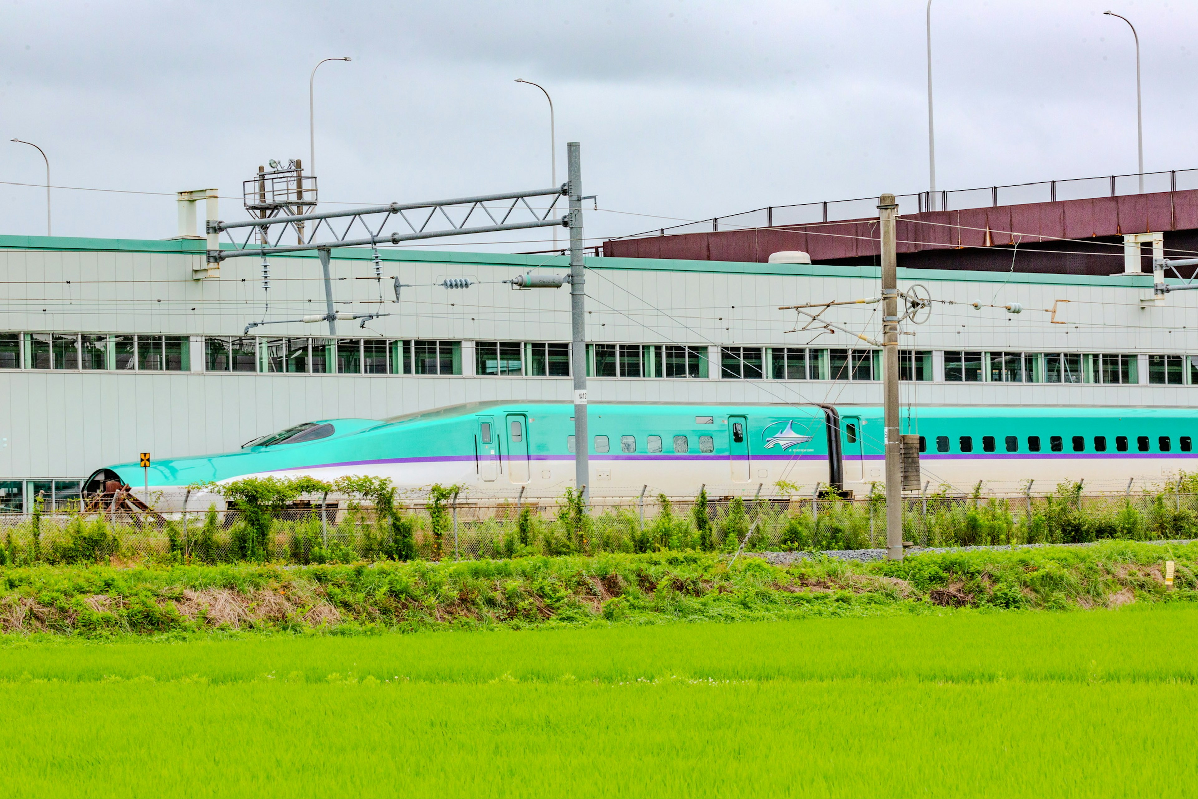 Kereta Shinkansen di samping sawah hijau dan pabrik