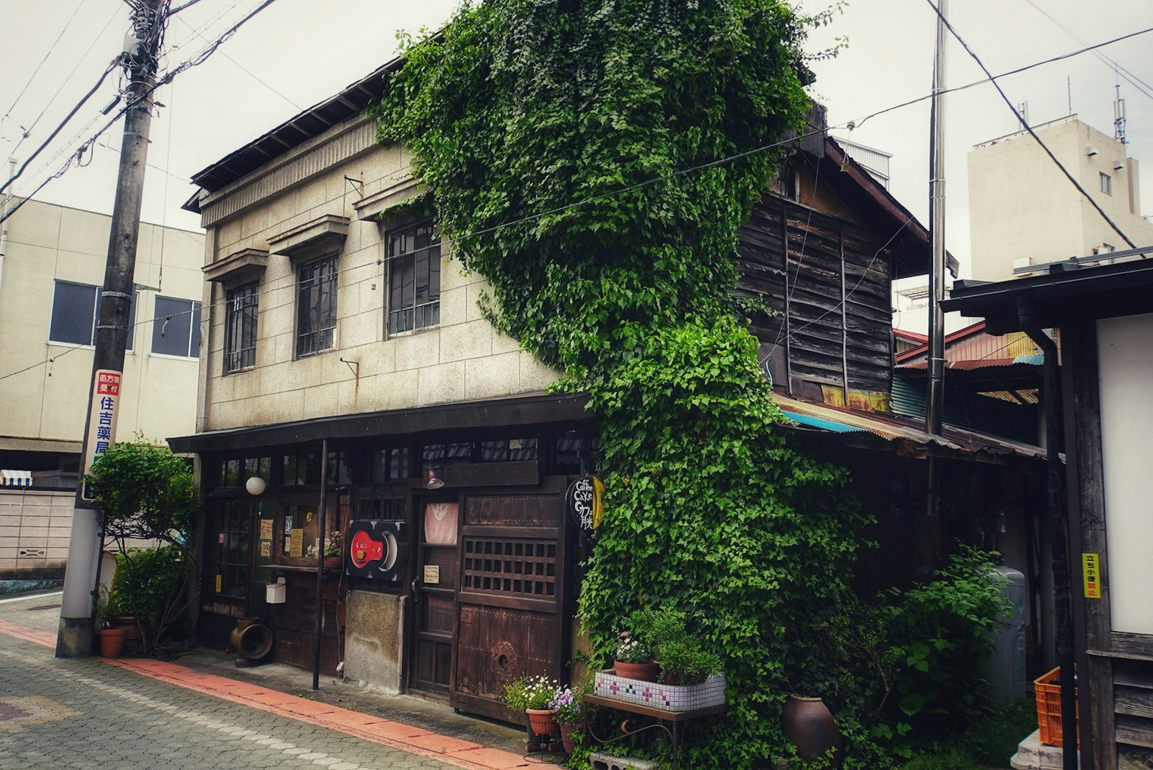 古い建物に絡まる緑色の植物が特徴的な街の風景