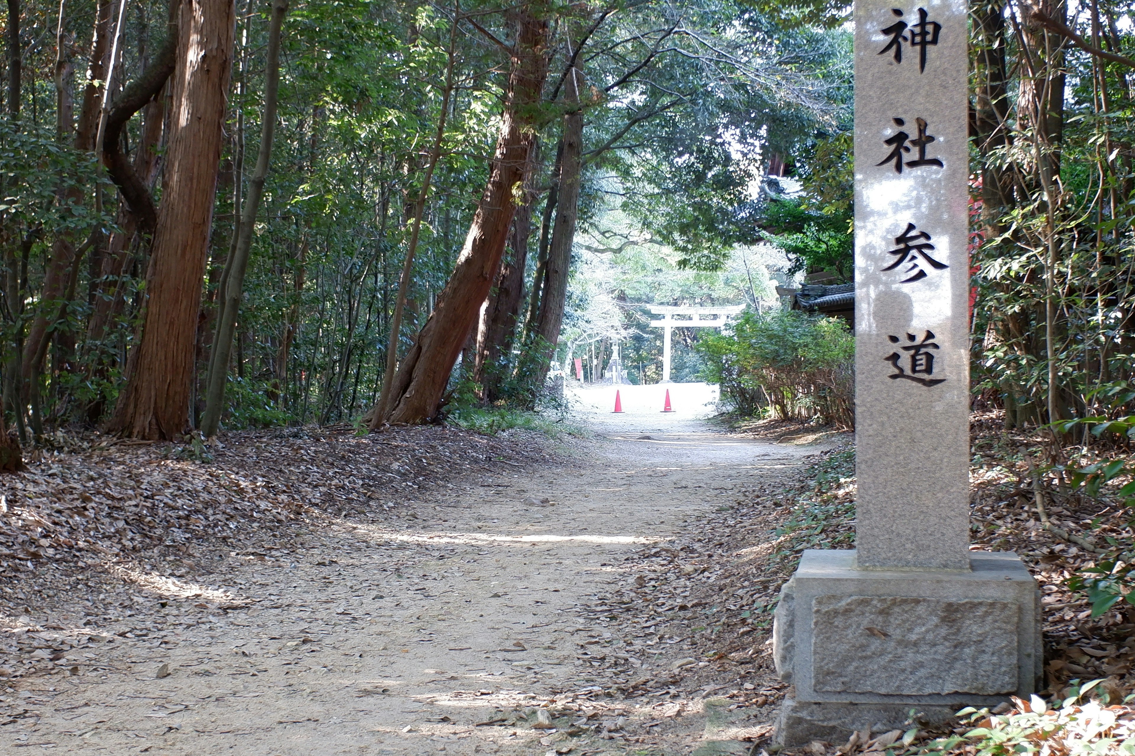 神社への道を示す石柱が立つ緑豊かな小道