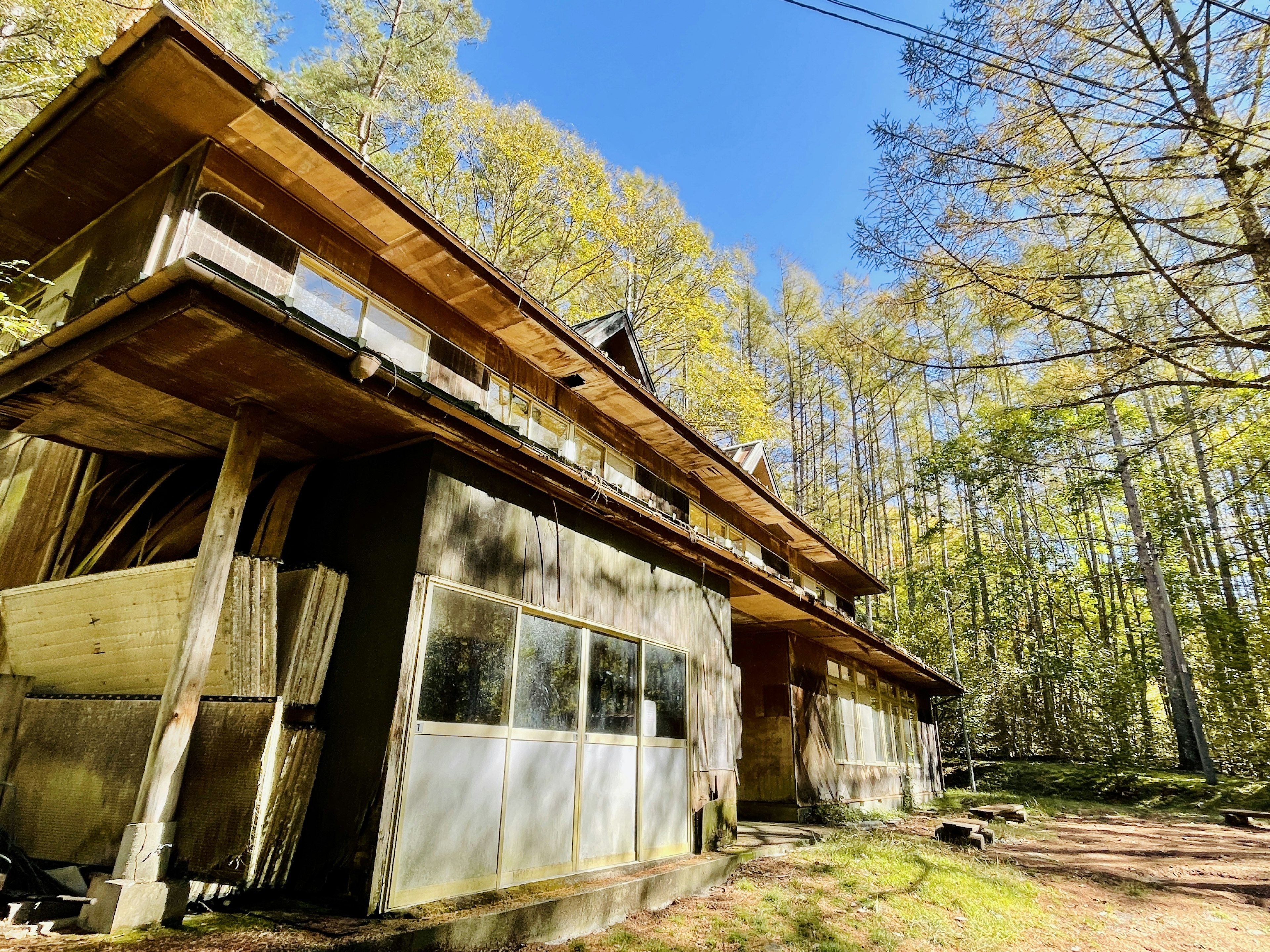 Esterno di un cabin in legno circondato da alberi design spazioso e grandi finestre