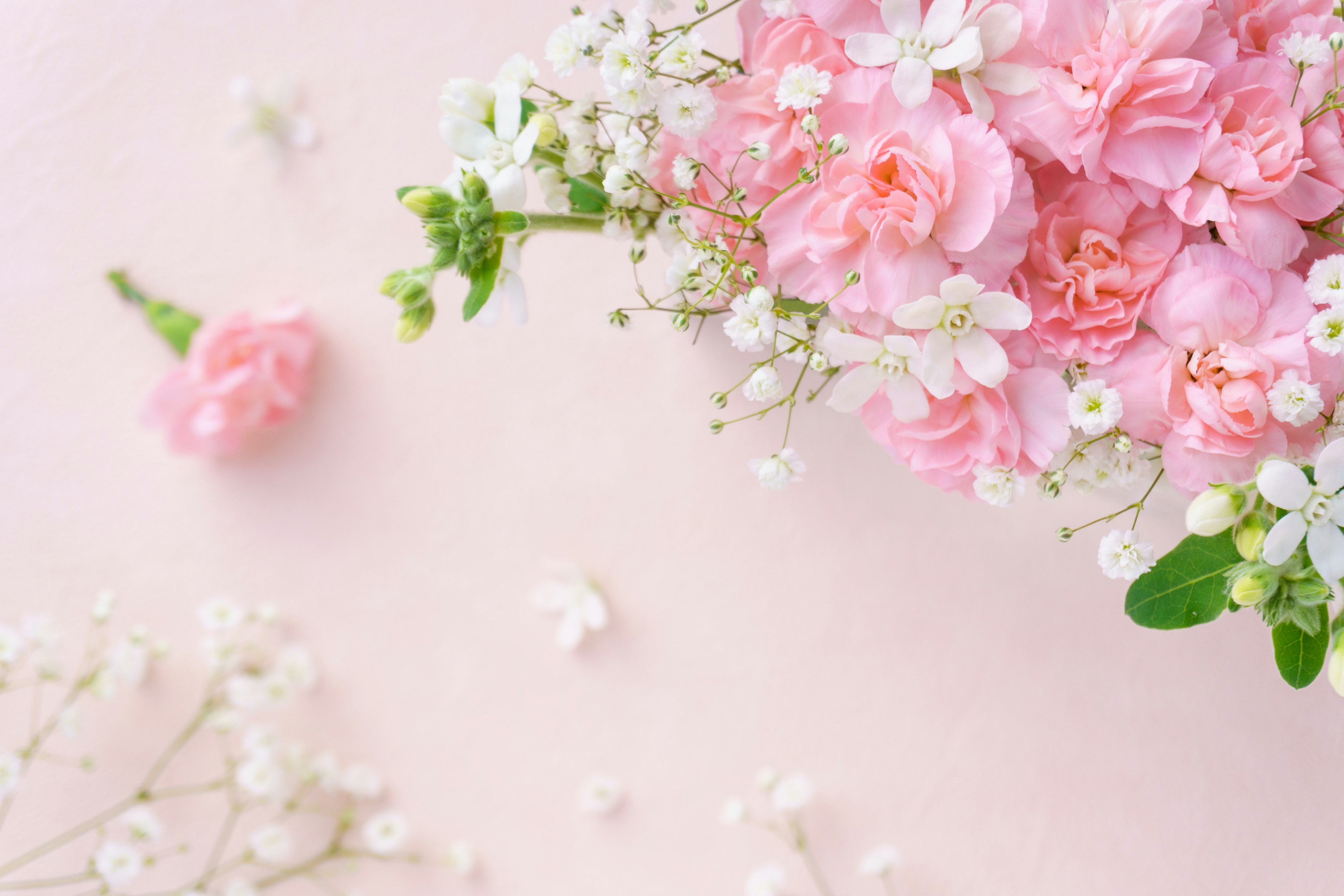 Arrangement of pink flowers with white accents on a soft pink background