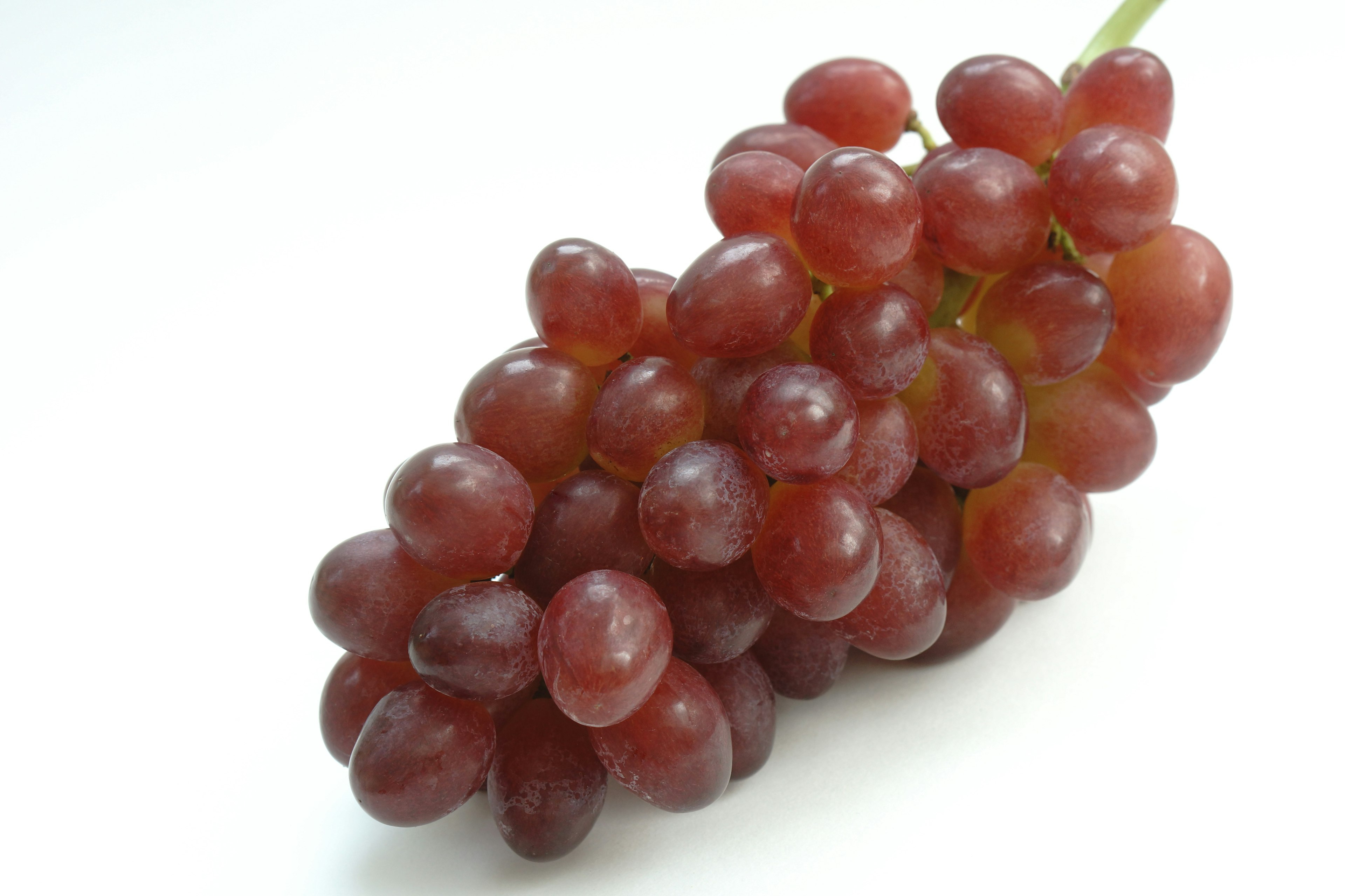 A cluster of red grapes on a white background