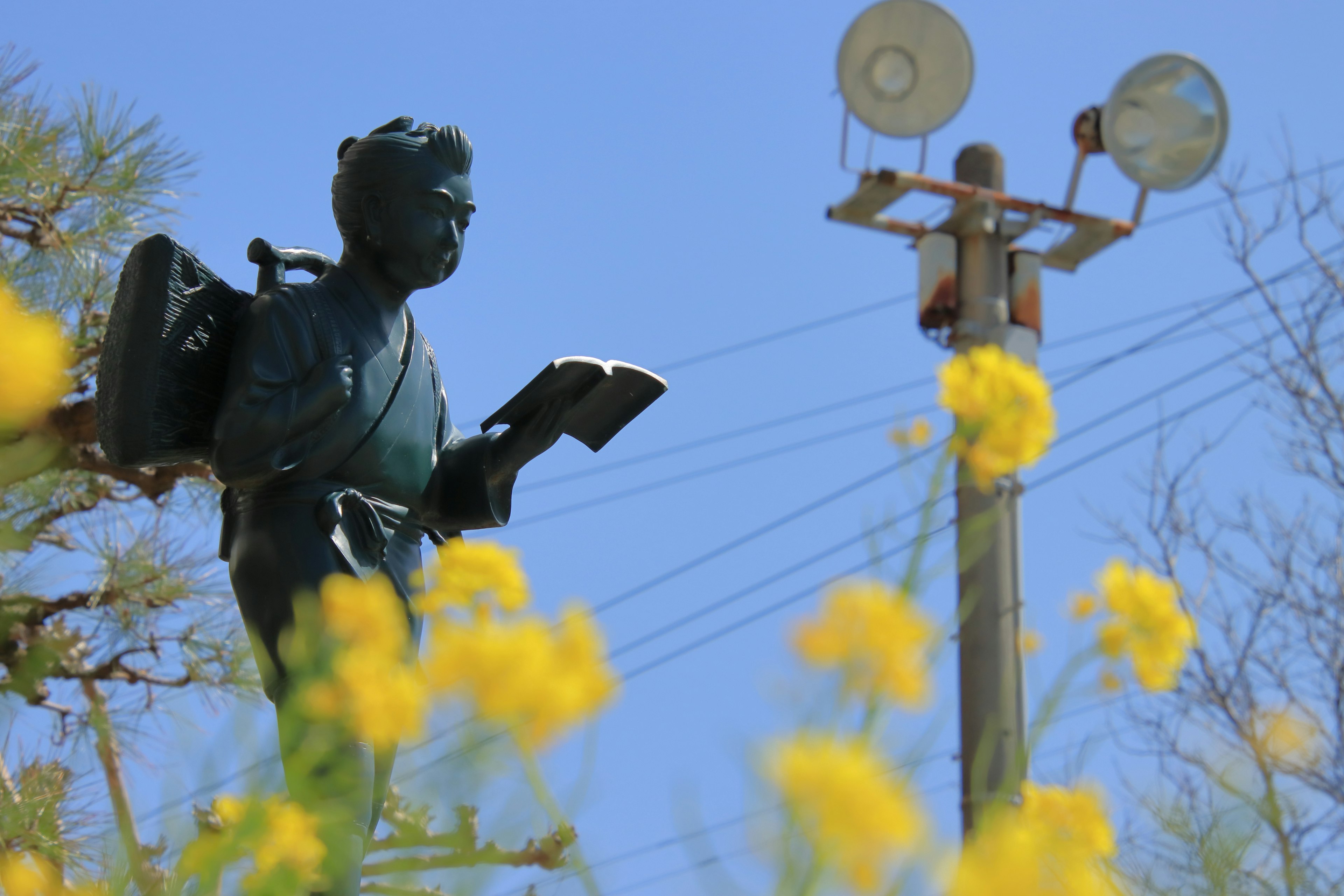 A statue of a boy holding a book under a blue sky with yellow flowers in the foreground