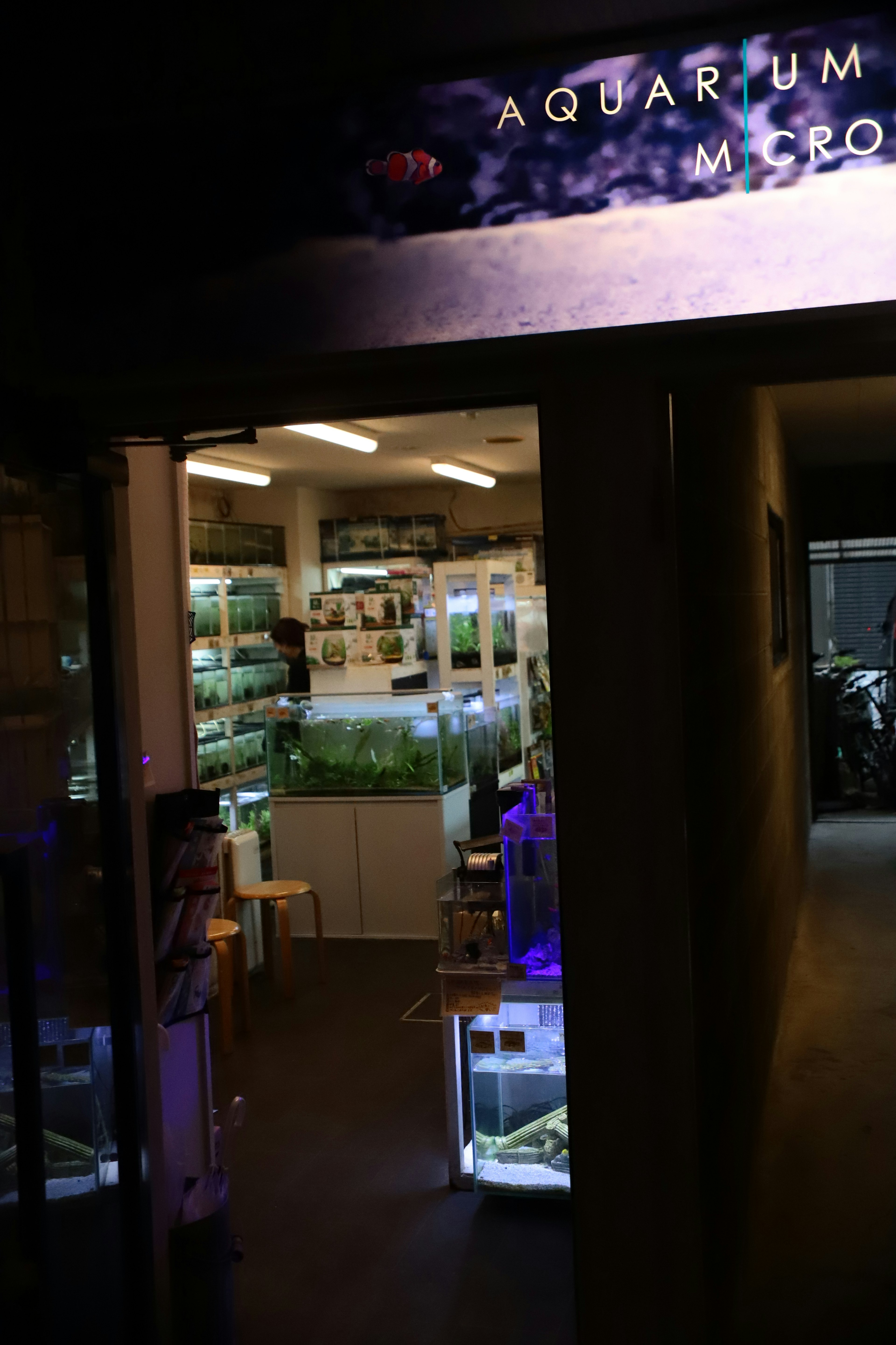 Entrada de una tienda de acuarios con tanques y plantas acuáticas