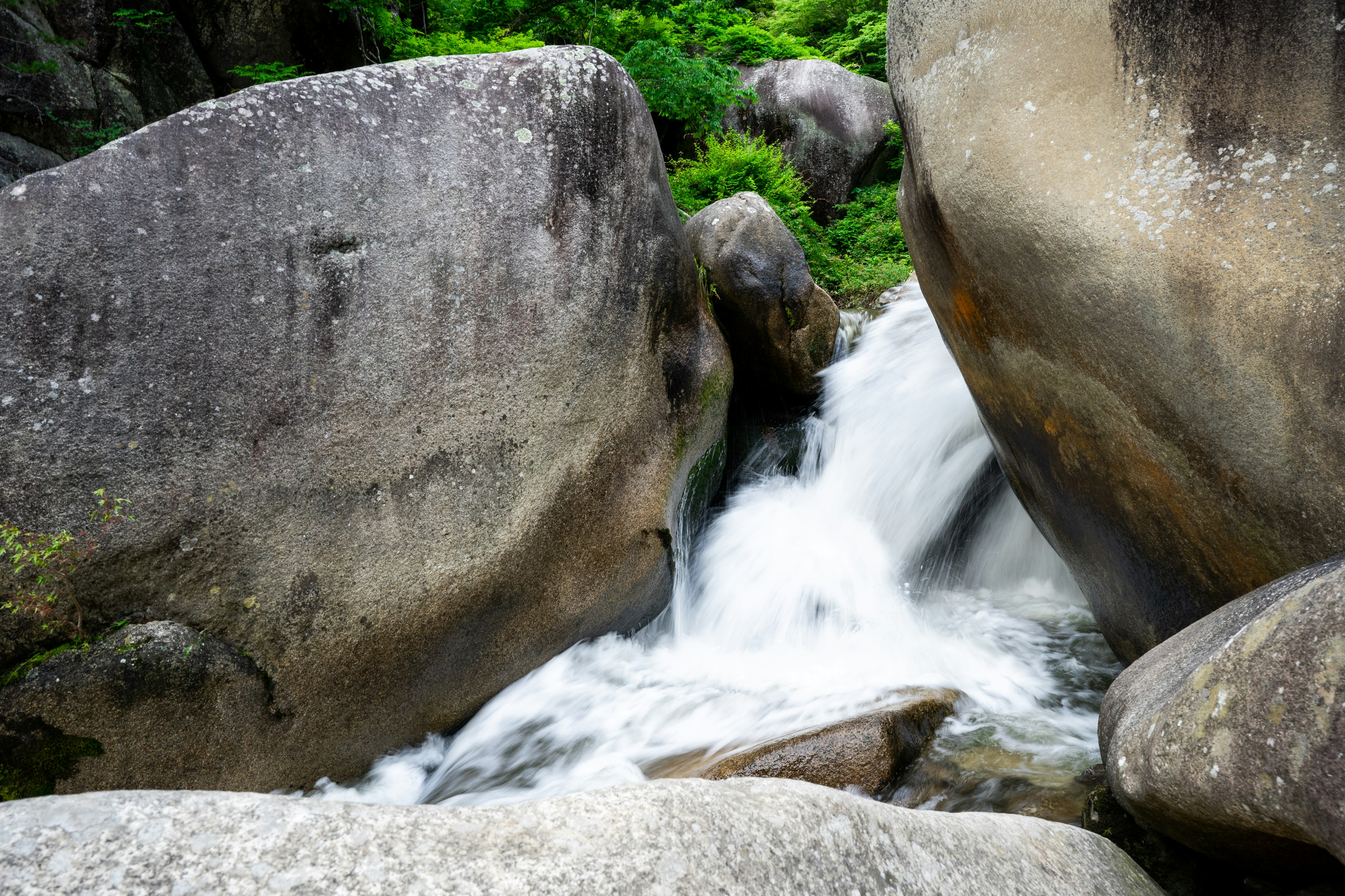 Ein klarer Bach, der zwischen großen Felsen fließt, umgeben von üppigem Grün