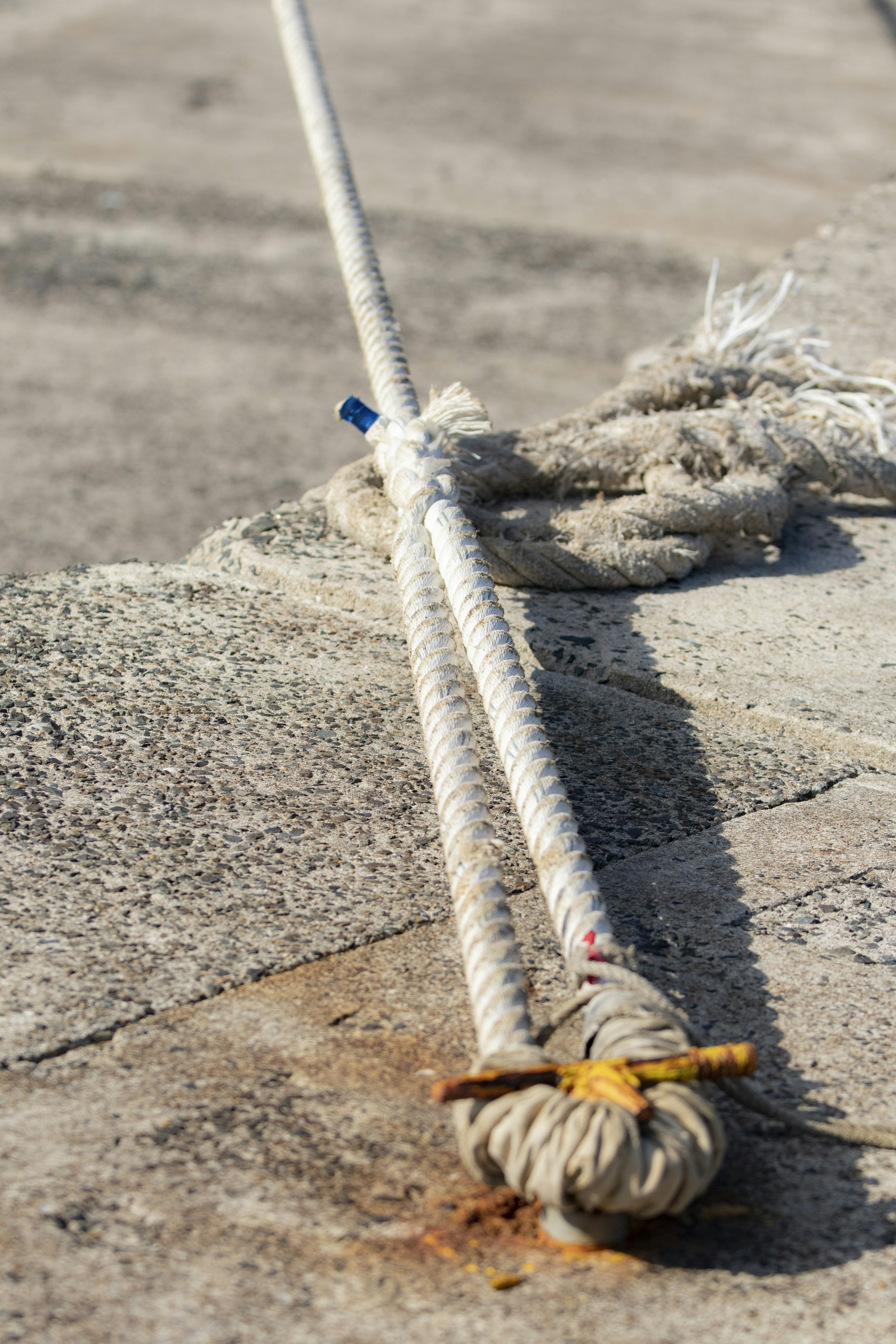 Image of a rope knot secured on the ground