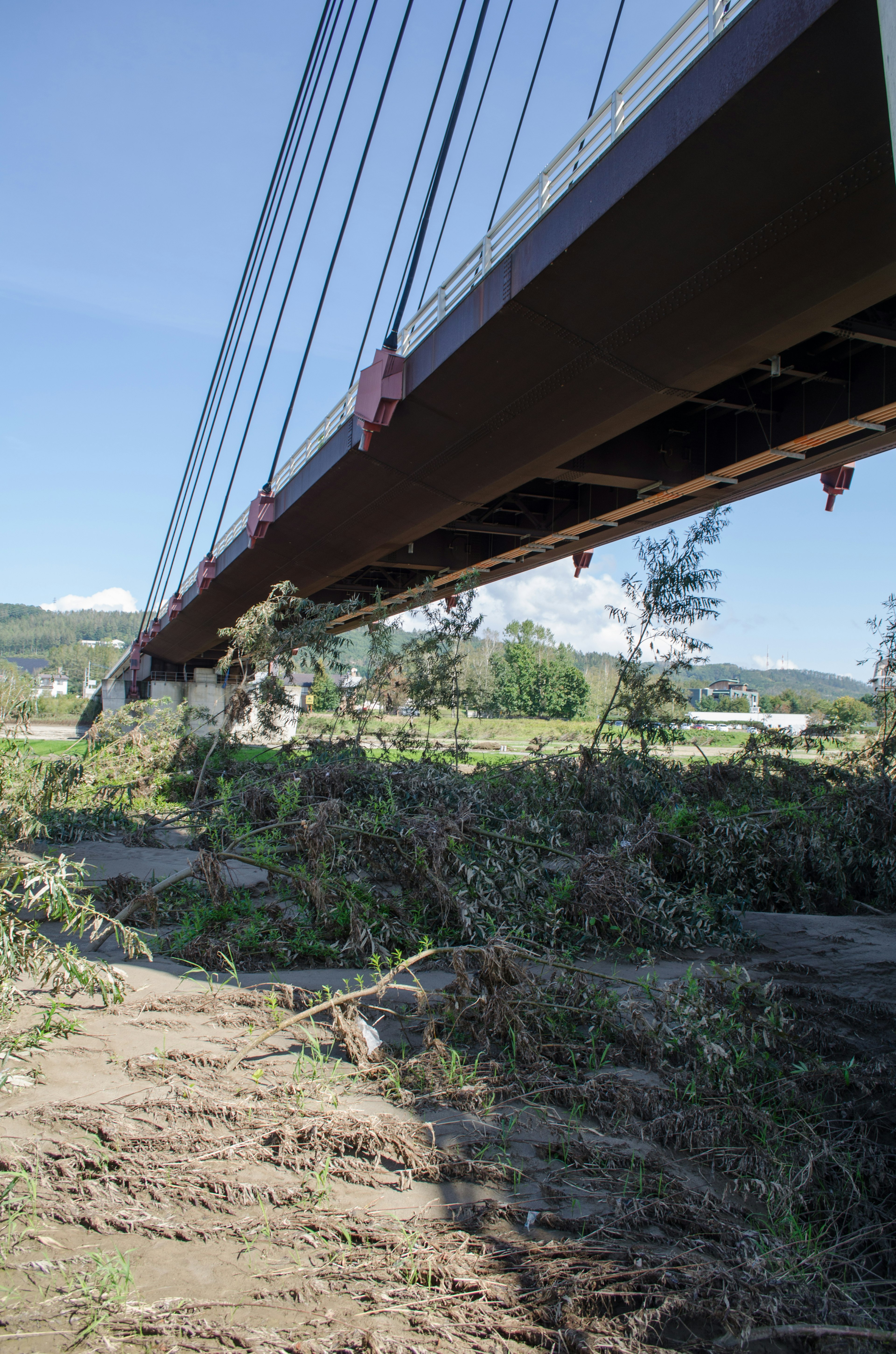 Vue sous un pont suspendu avec des arbres tombés autour et un ciel bleu clair