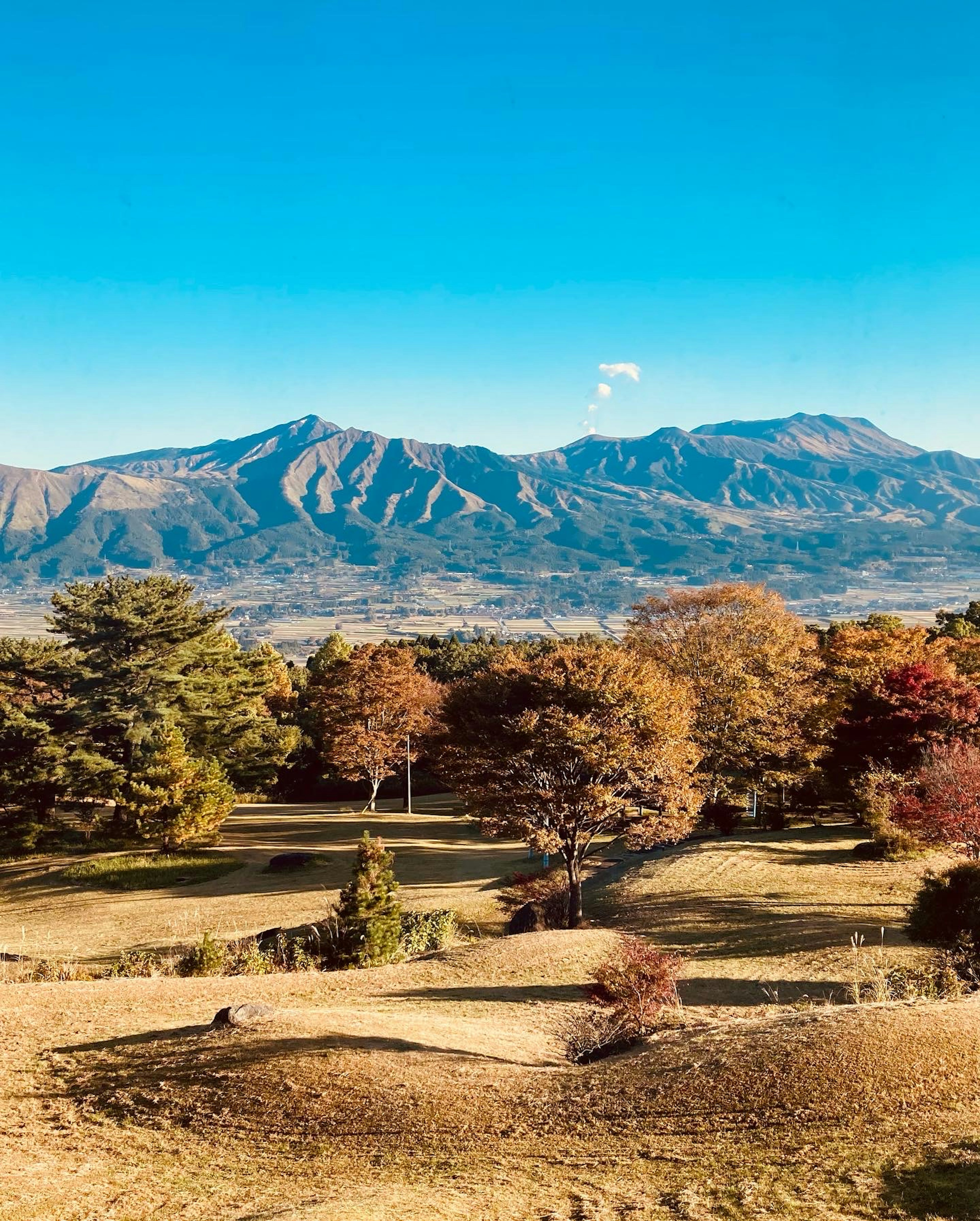 色づいた木々と山々が広がる美しい風景