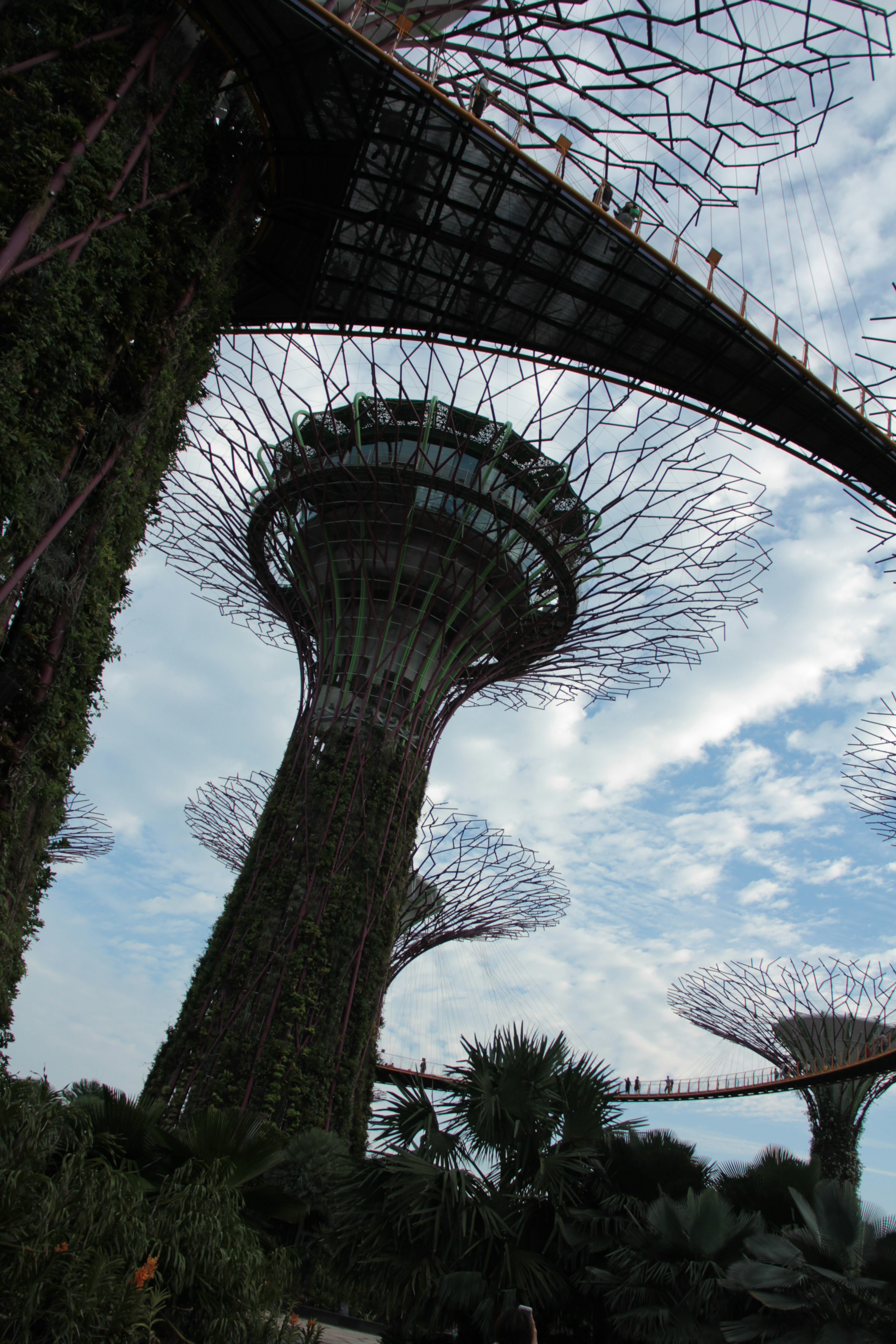 Struktur pohon super di Gardens by the Bay di Singapura