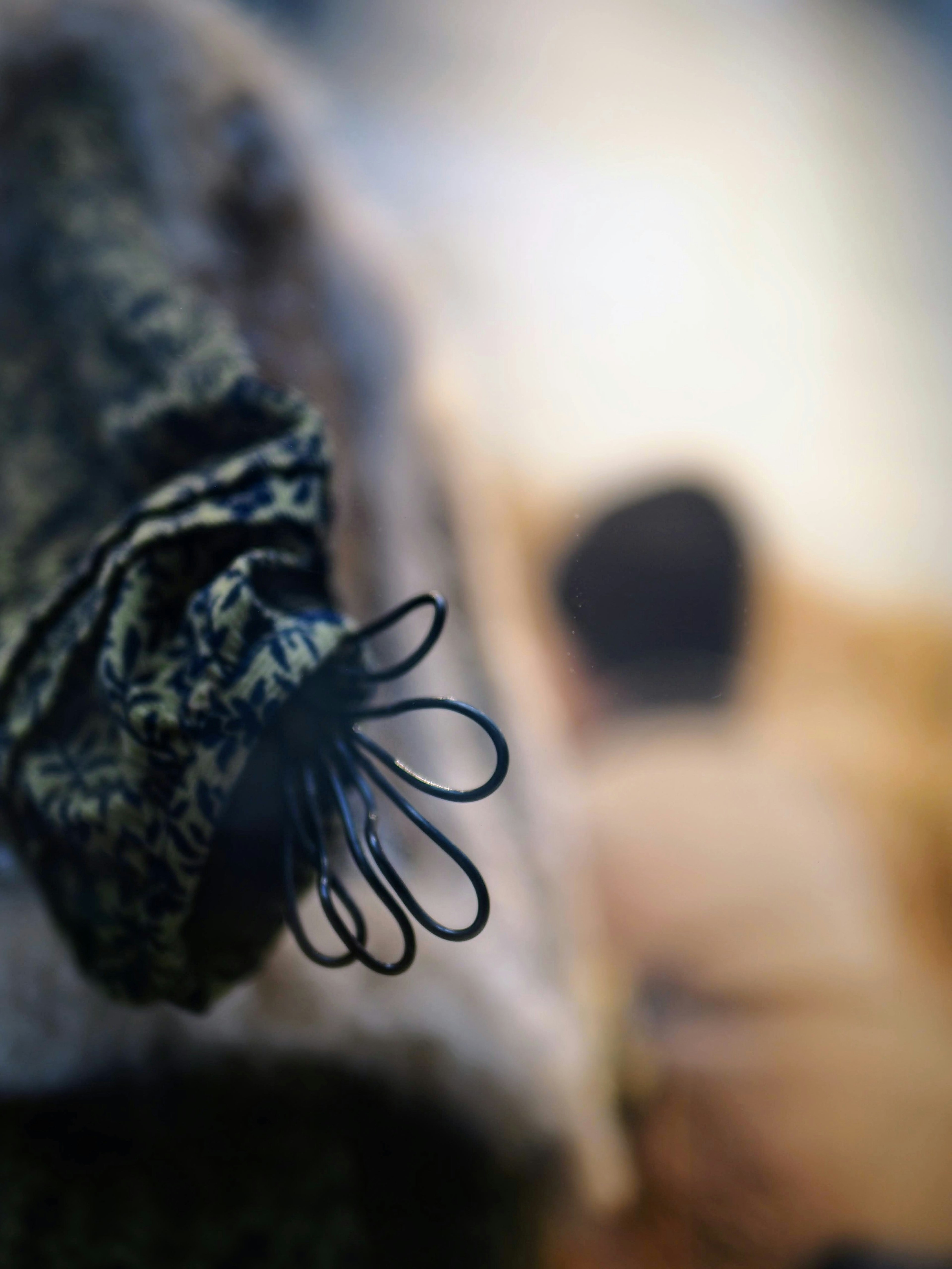 Close-up of a black hair tie with a blurred background