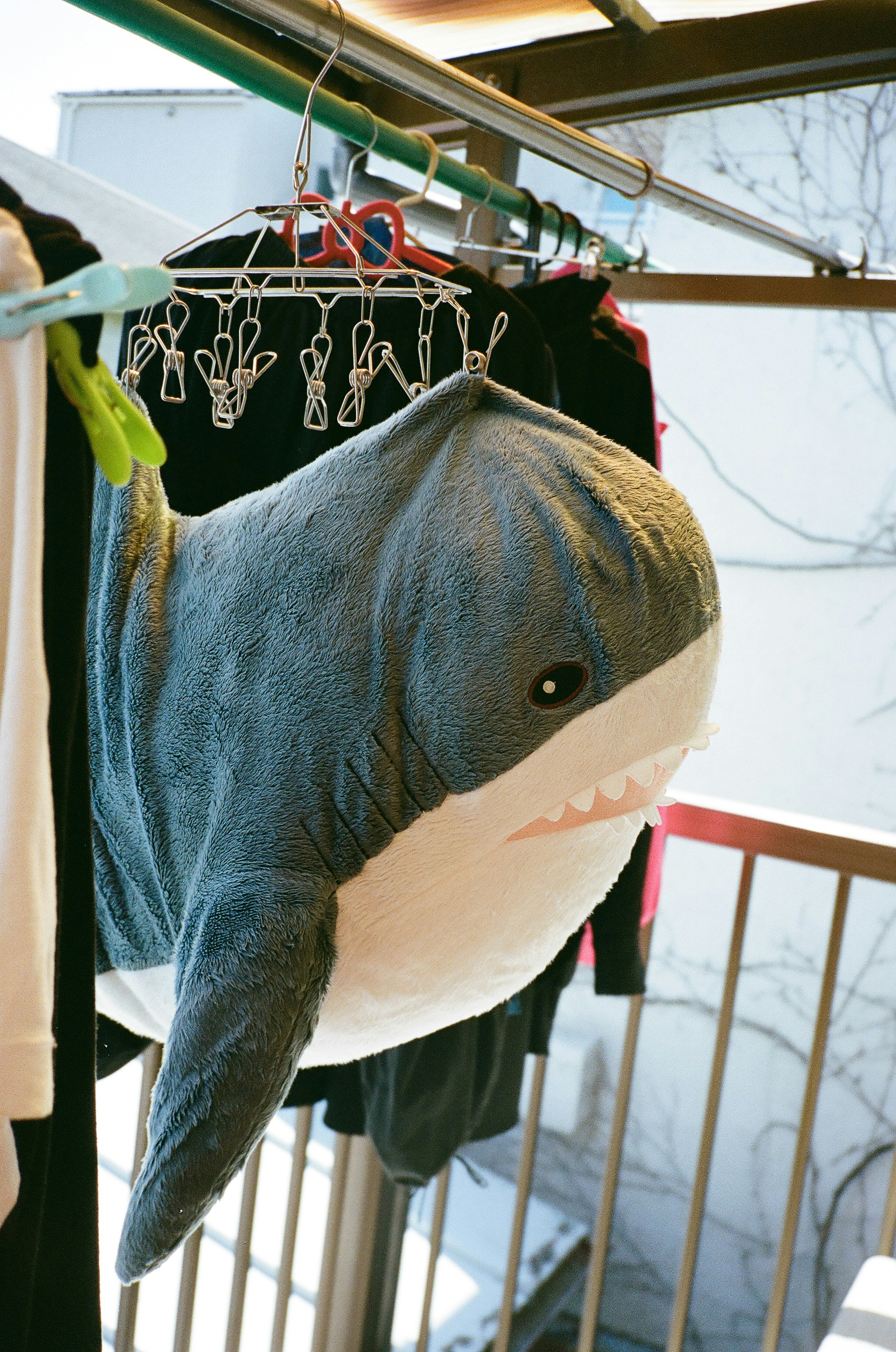 Stuffed shark hanging on a clothesline with colorful clips