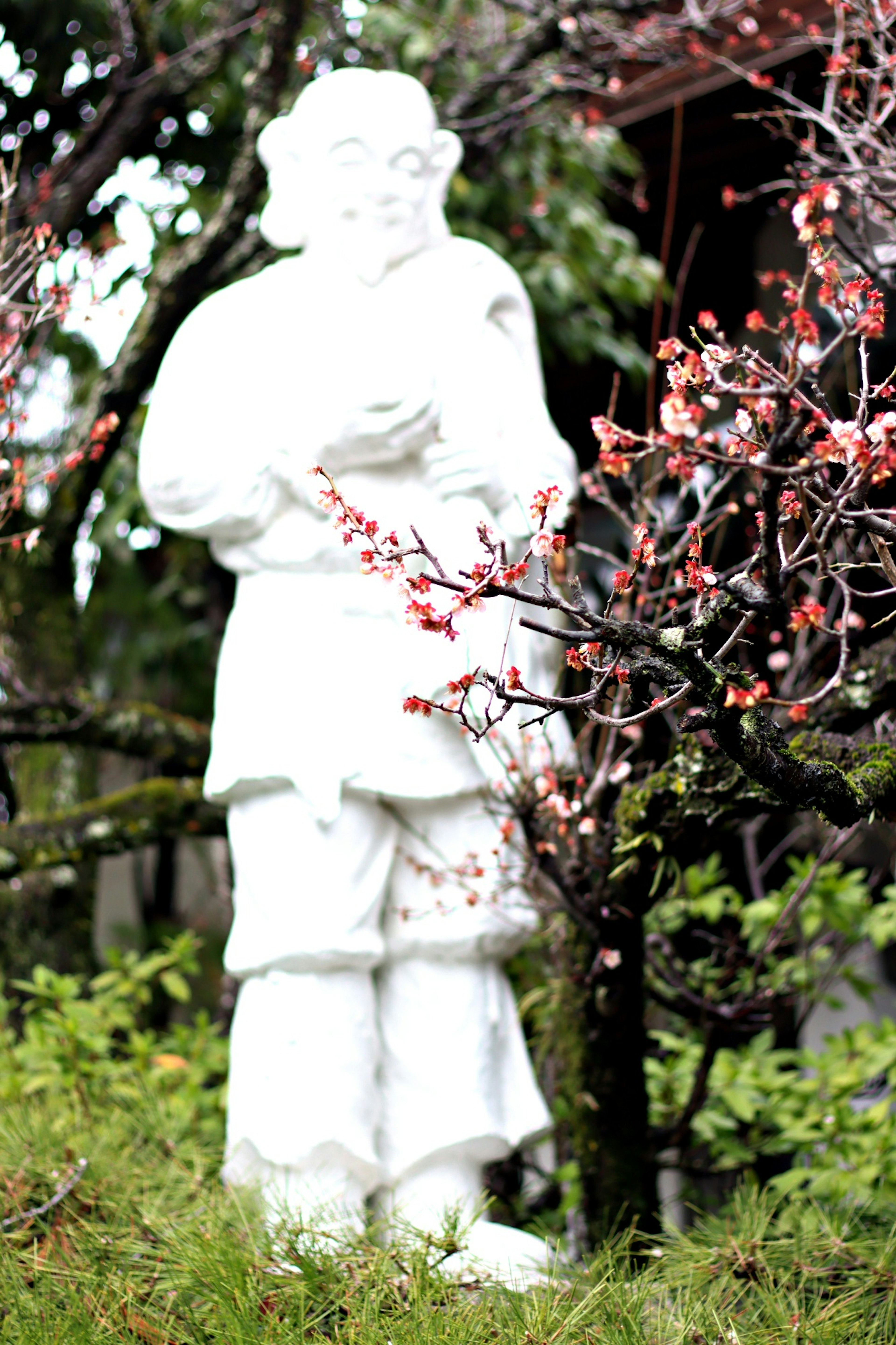 Estatua blanca de pie entre árboles de cerezo en flor