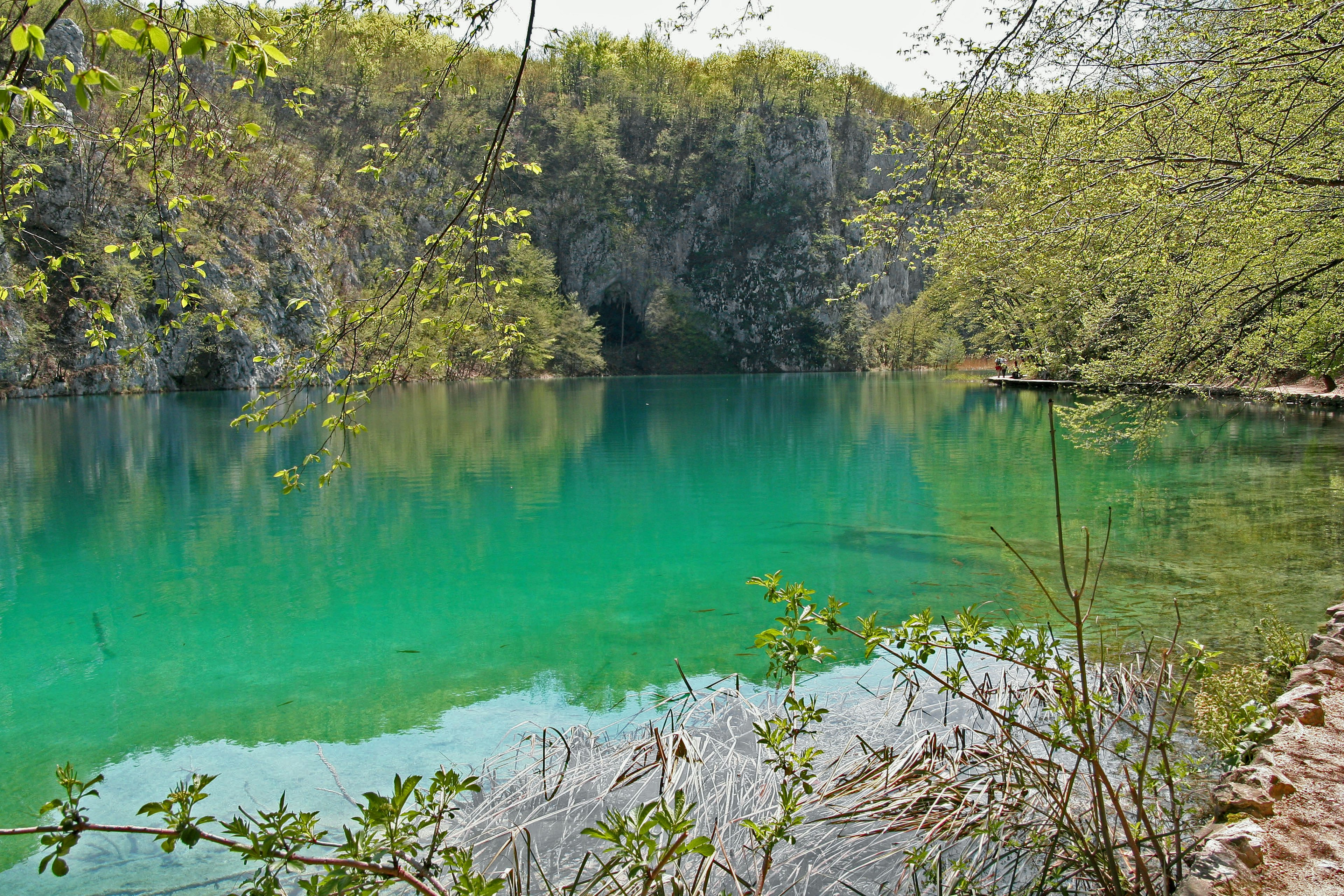 风景如画的池塘，碧绿色的水和郁郁葱葱的绿树