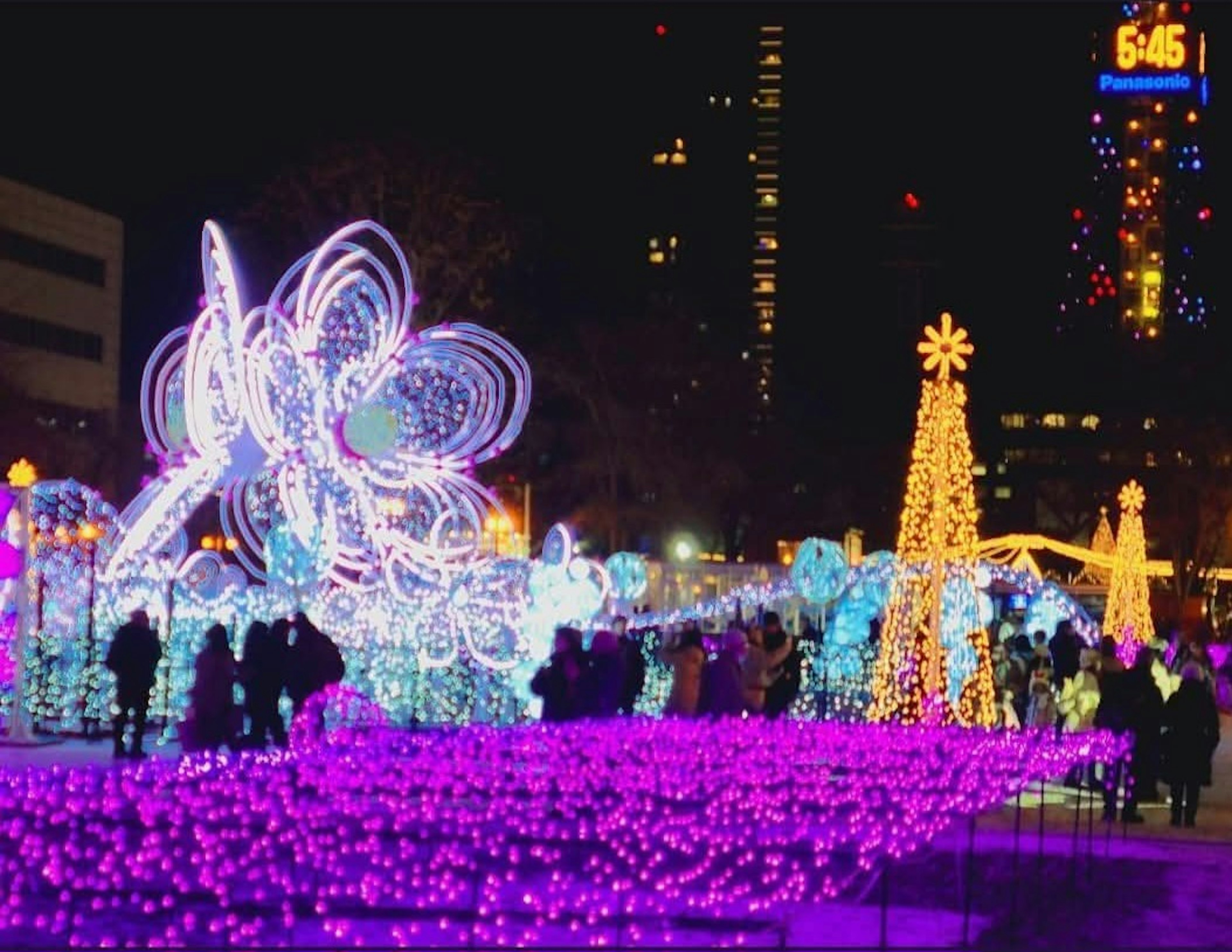 Folla che gode di spettacolari luci in un parco con un albero decorato di notte