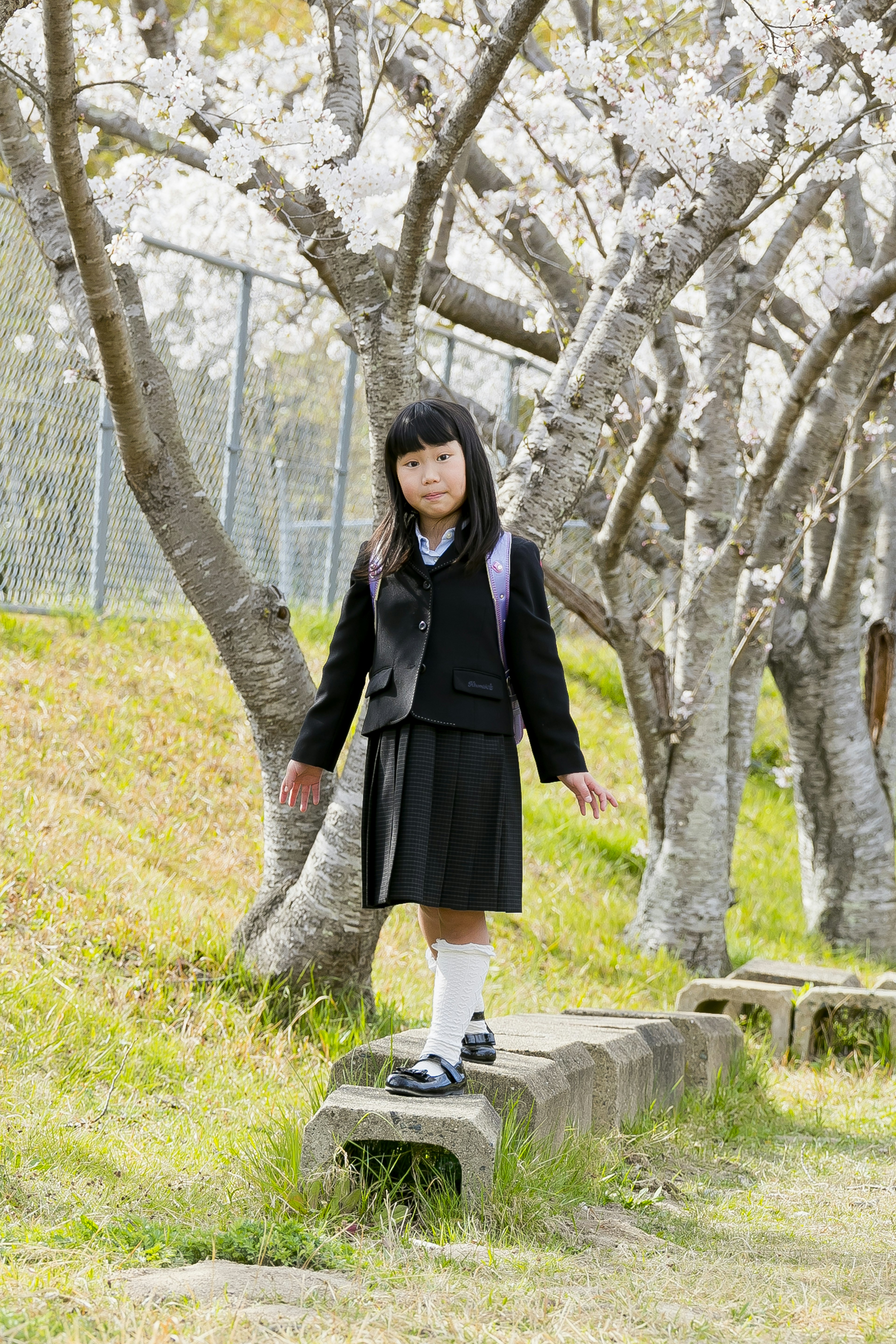 Niña en uniforme escolar negro de pie bajo cerezos en flor