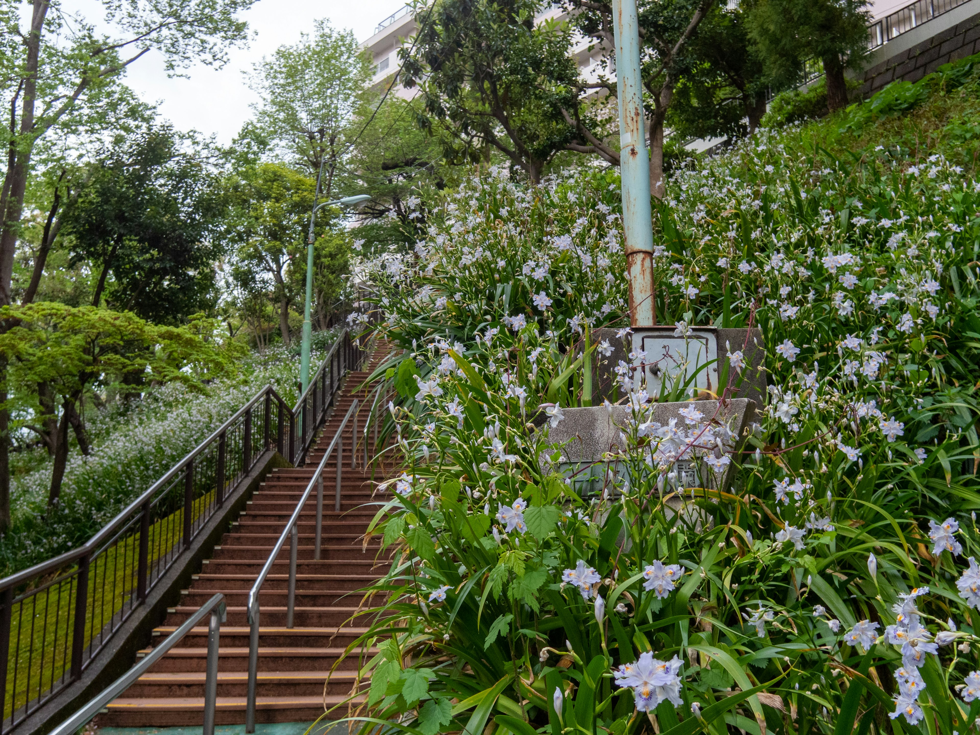 緑の階段と白い花に囲まれた風景