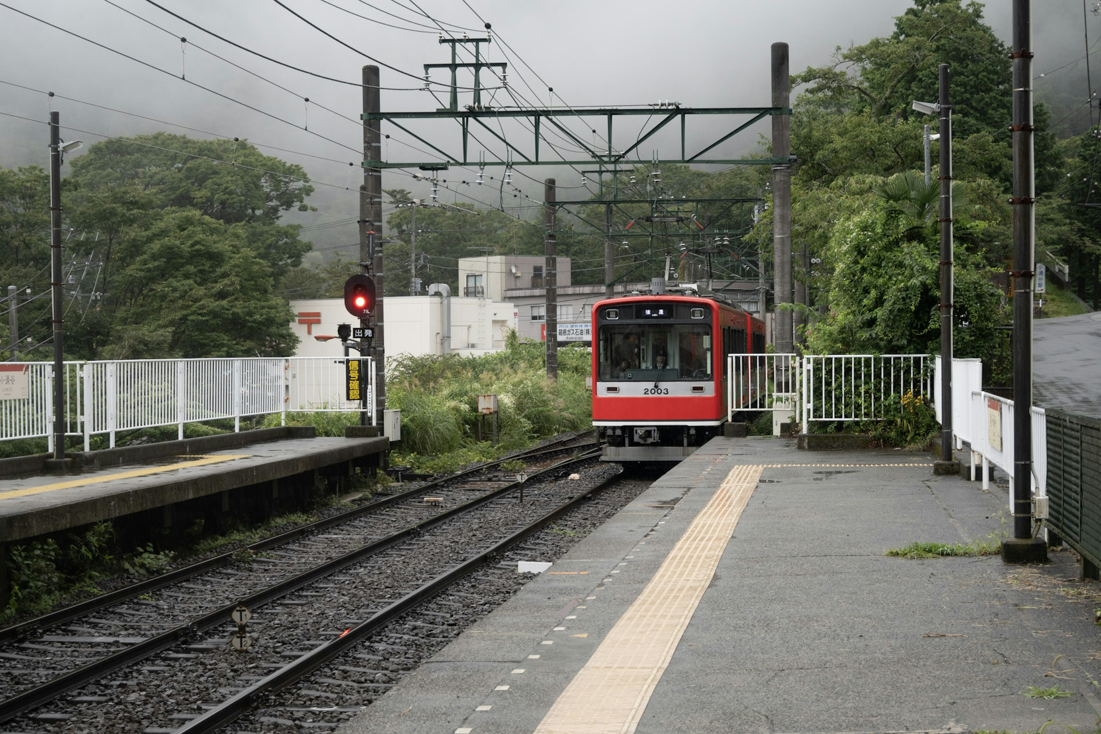 Roter Zug erreicht einen nebligen Bahnhof mit grüner Umgebung