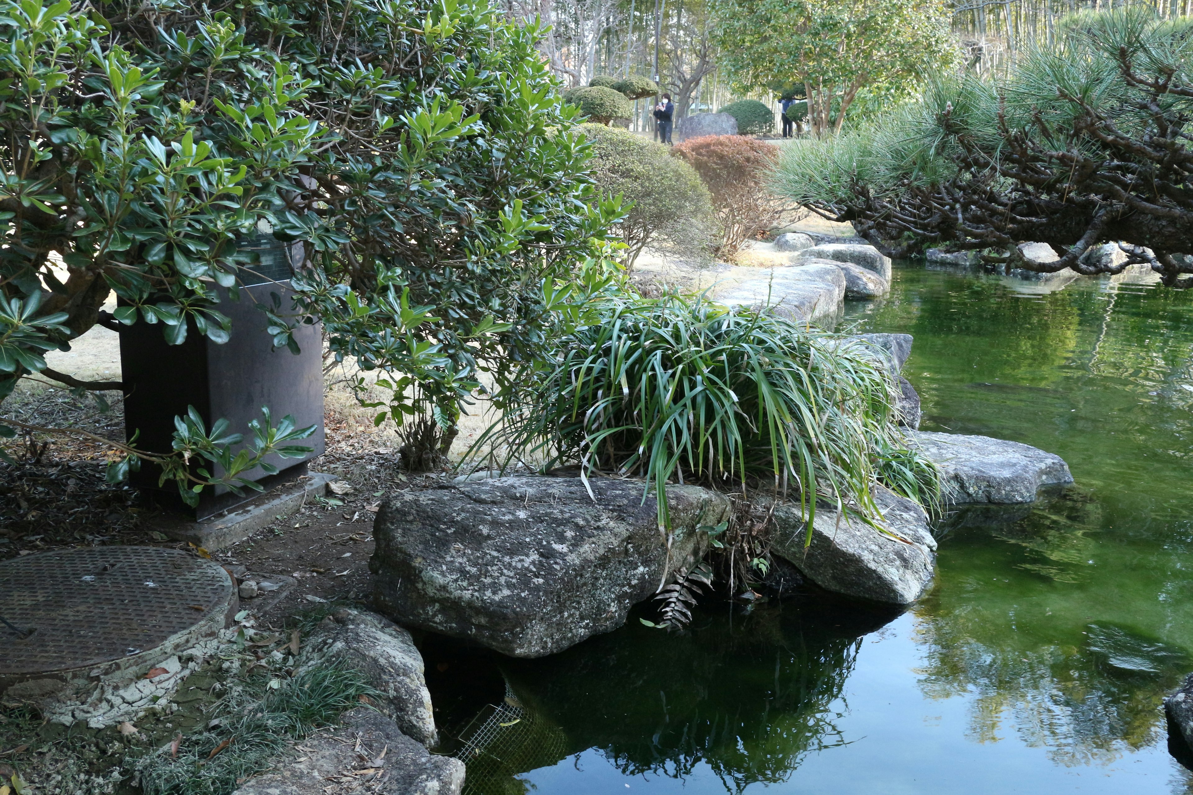 静かな池と岩のある日本庭園の風景