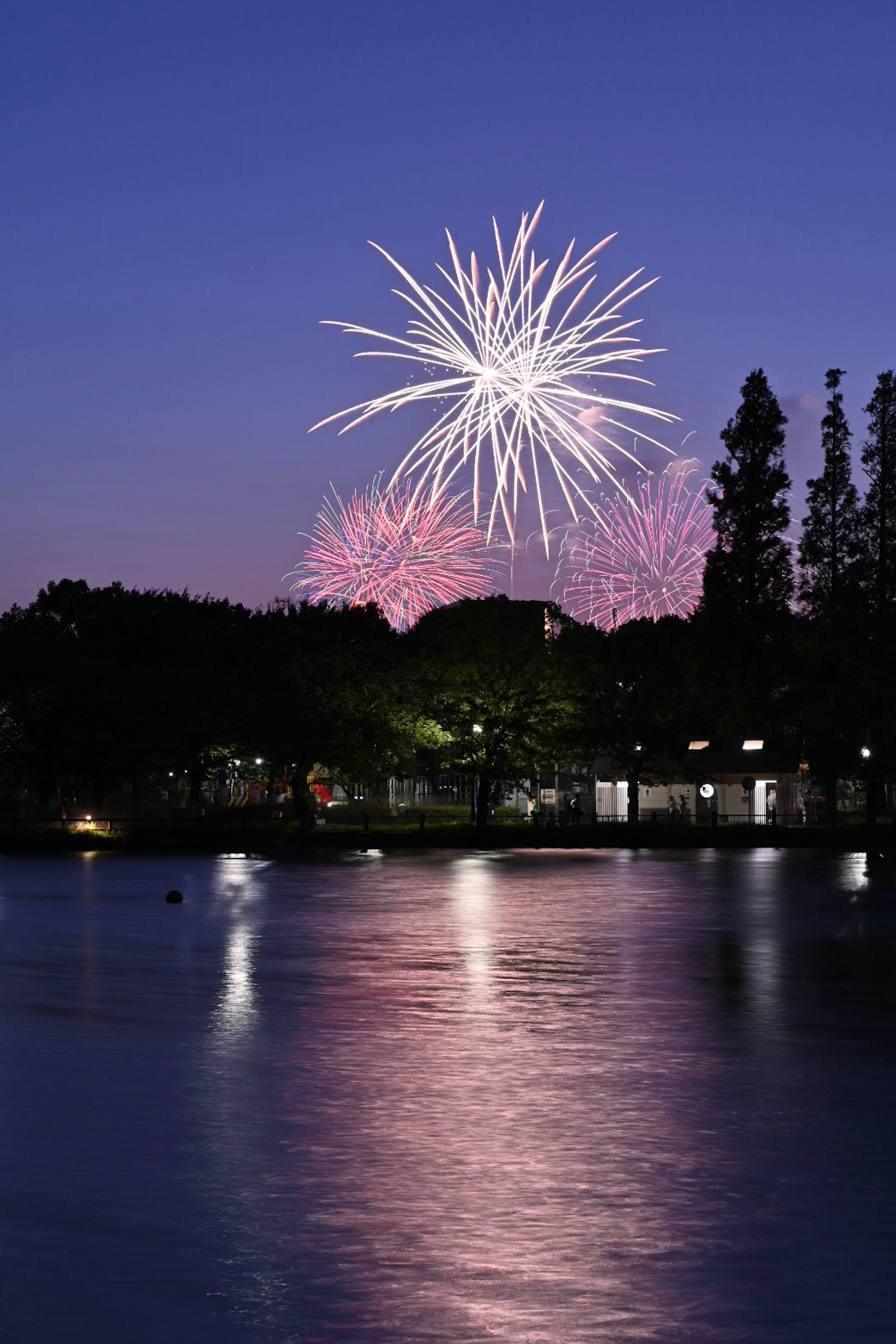 Beautiful fireworks illuminating the night sky over a lake