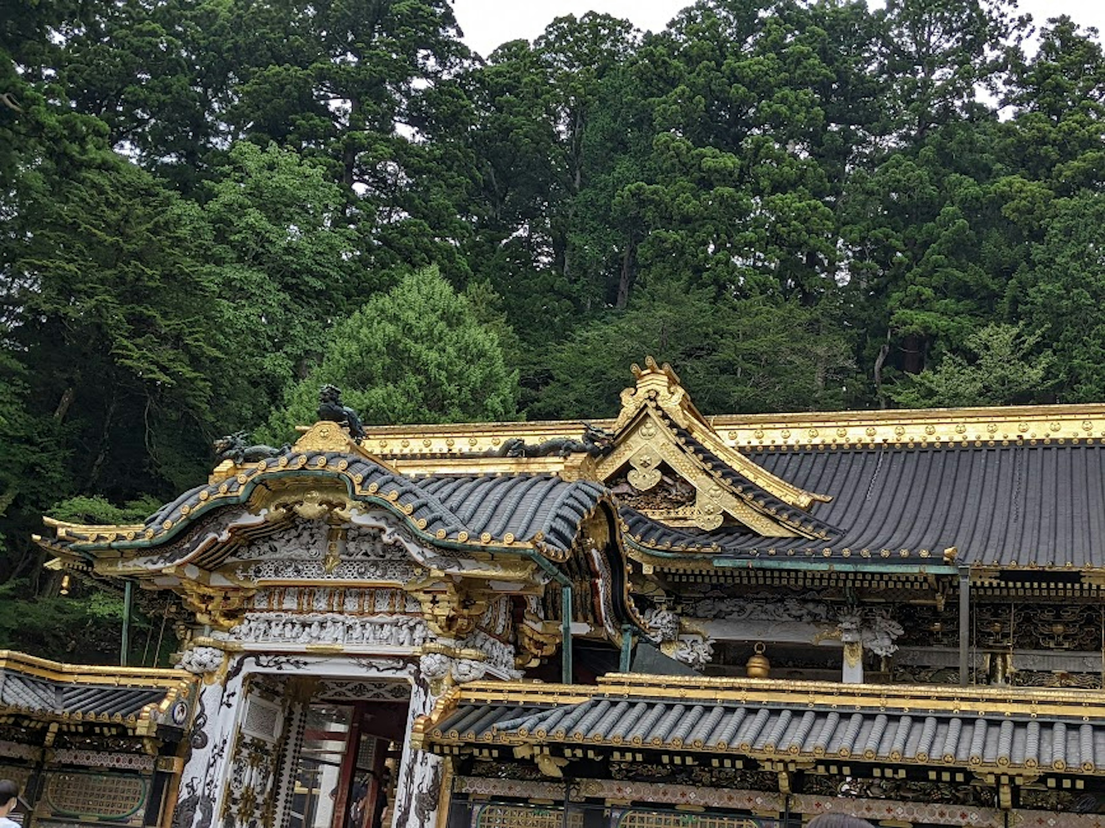 A shrine building with golden decorations and lush green forest