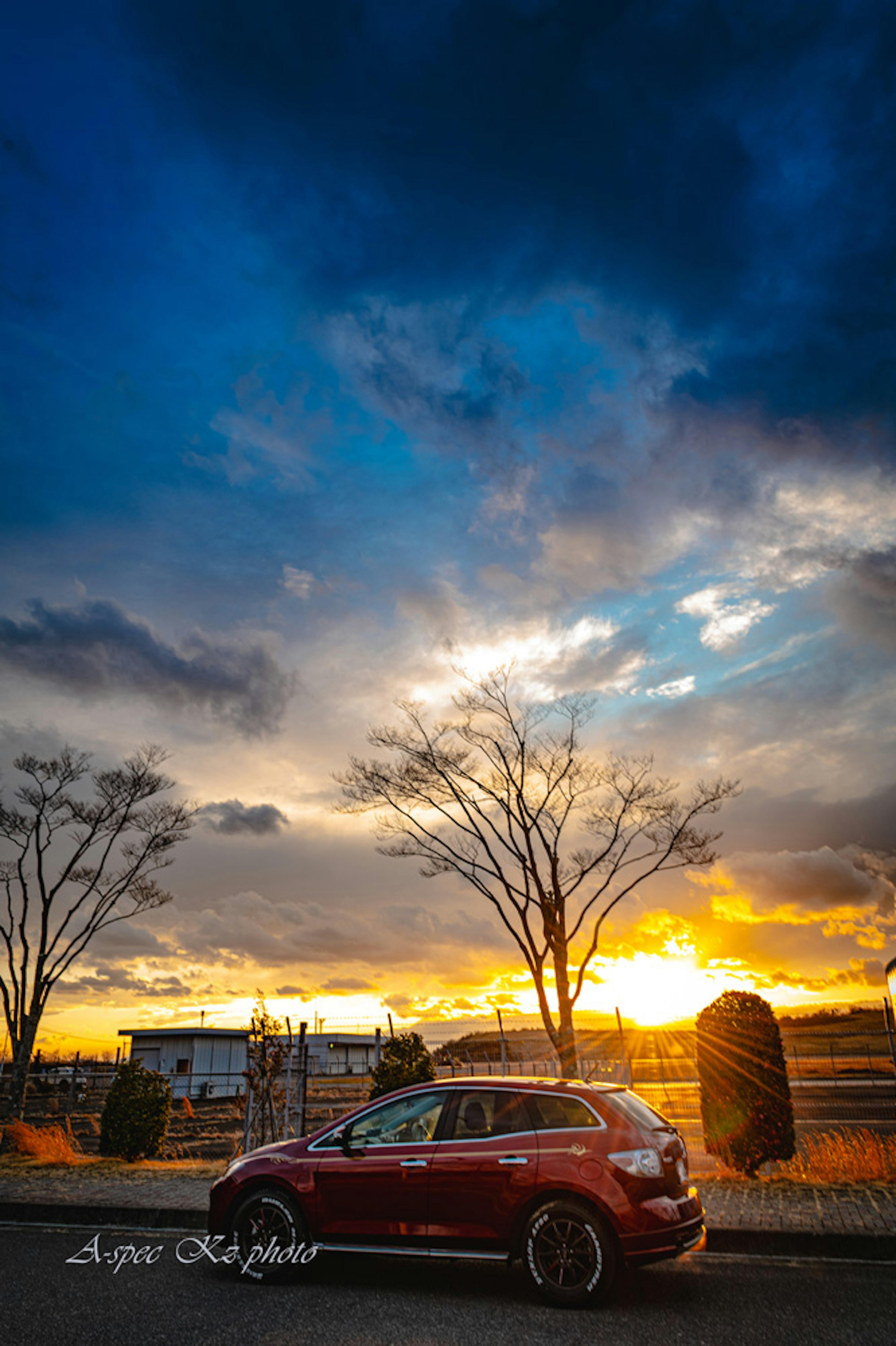 紅色汽車在生動的夕陽和樹木剪影中