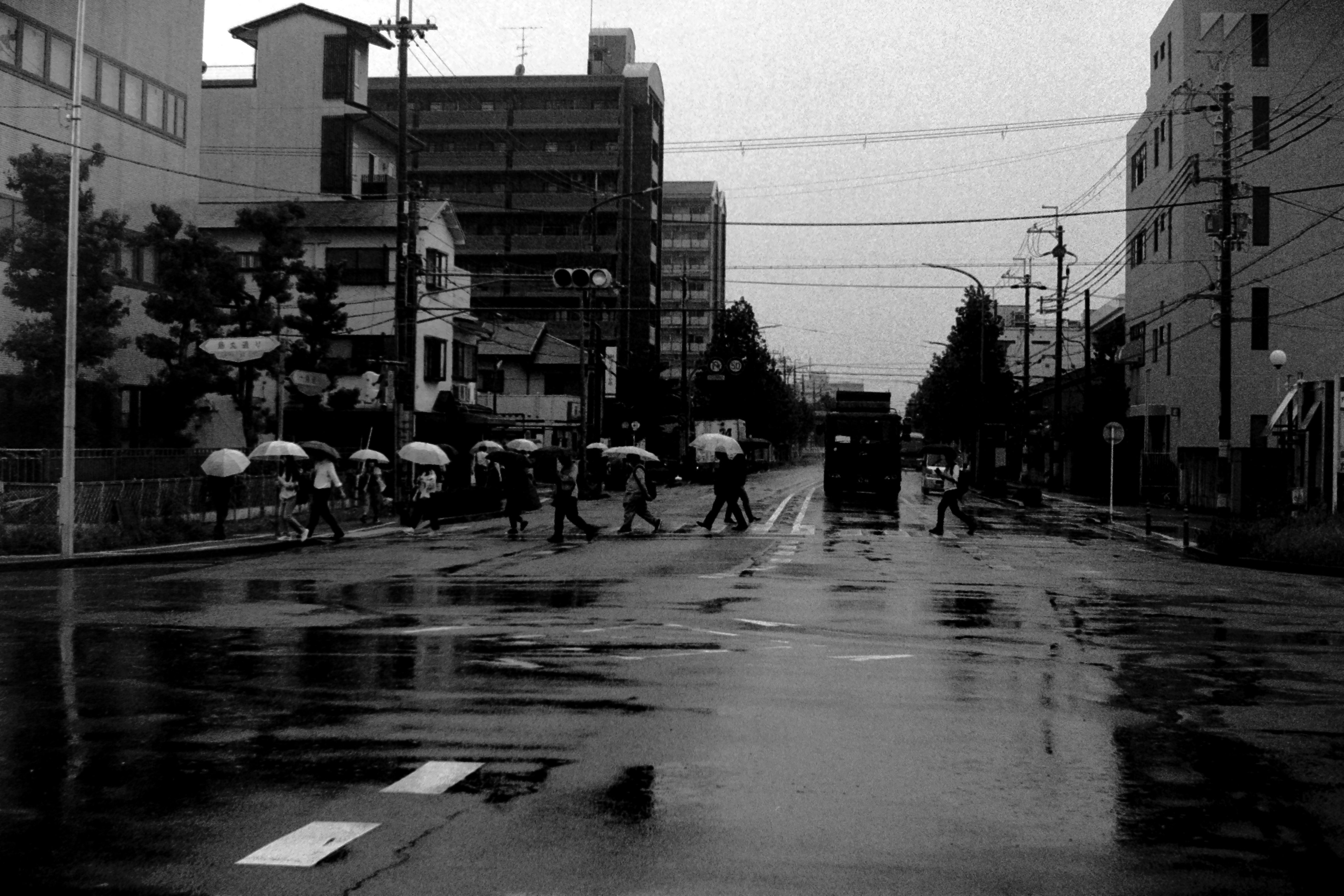 雨の中を歩く人々と傘の風景