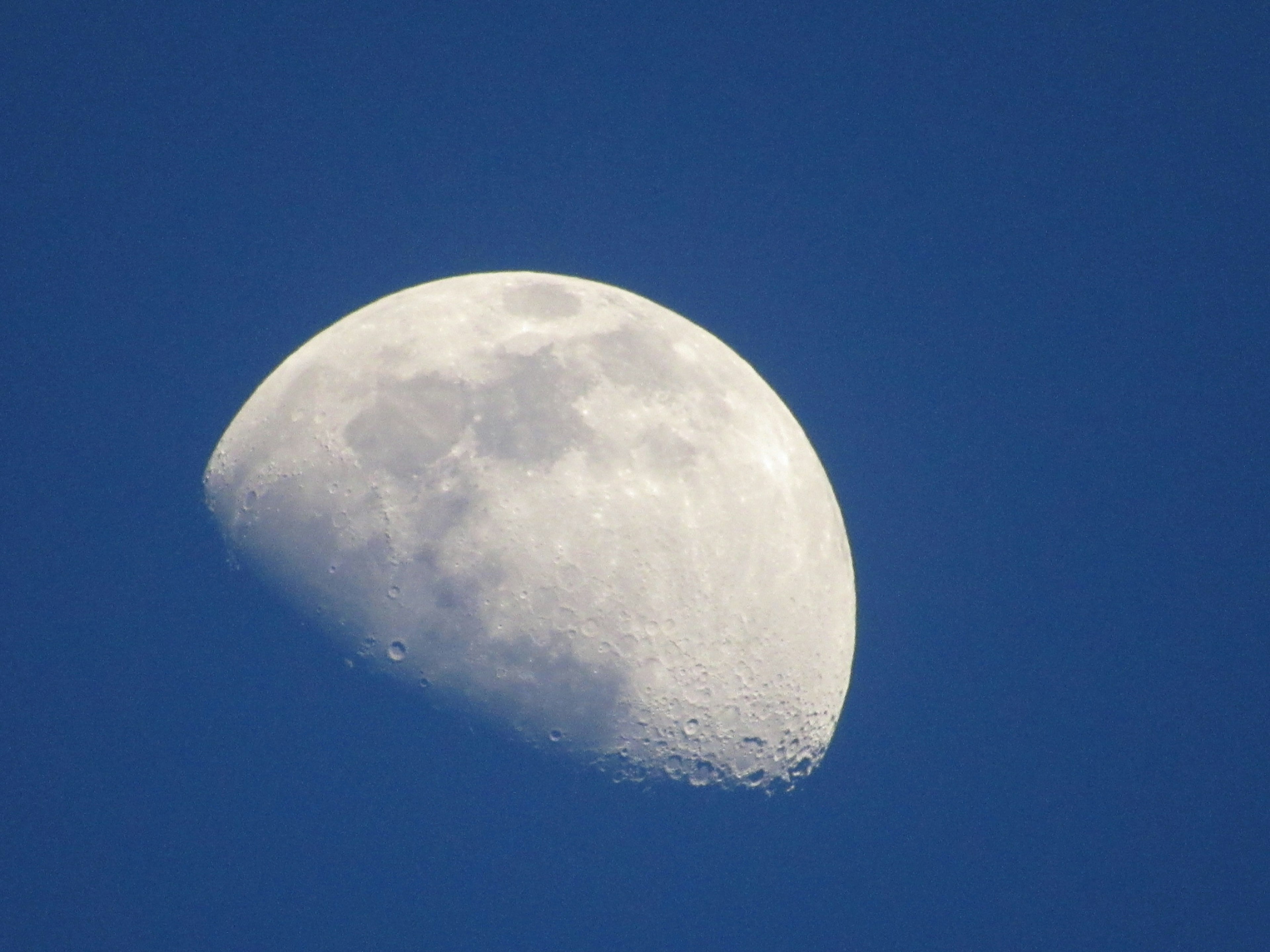 Detailed half moon in a blue sky