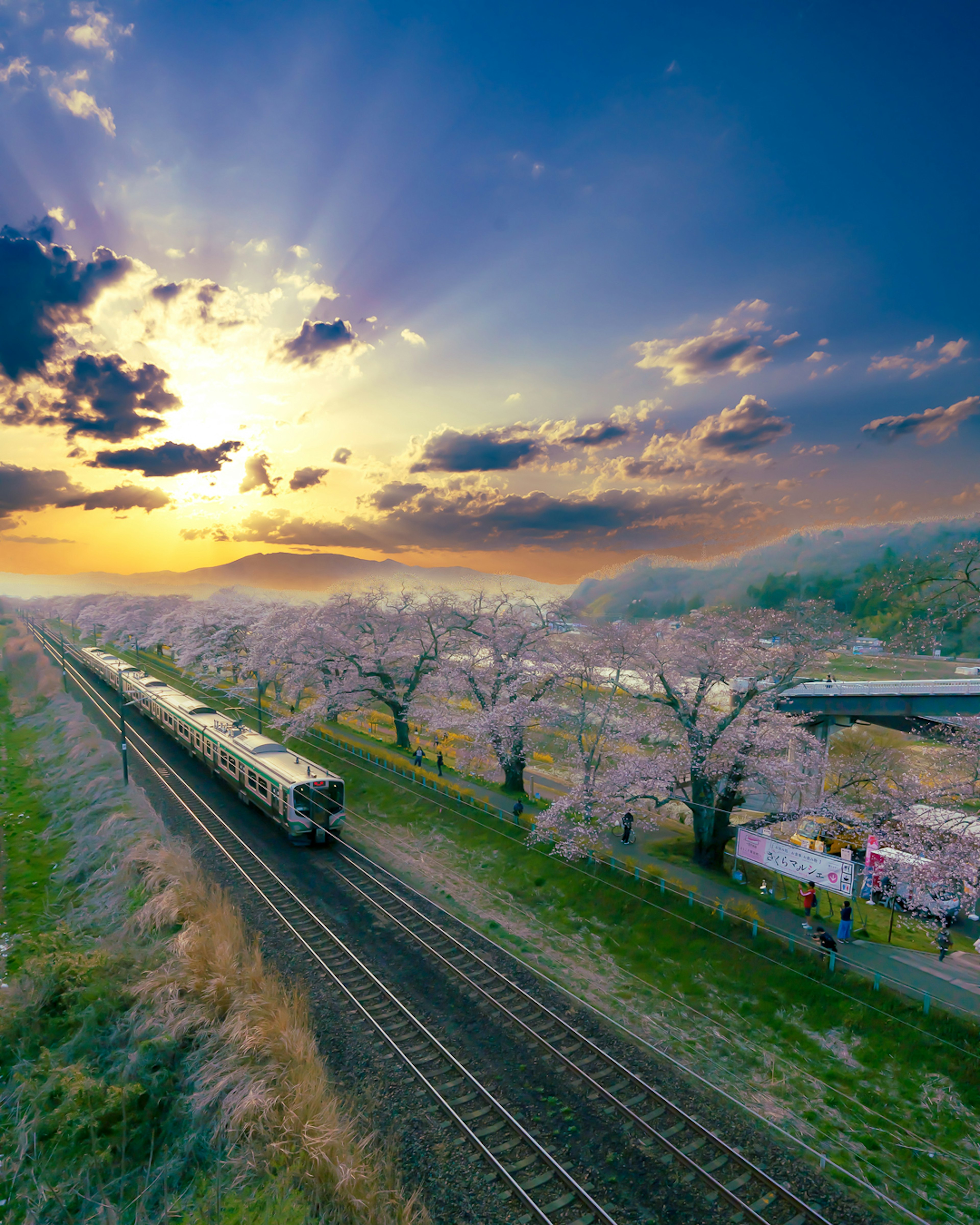 Vista escénica de un tren pasando por cerezos al atardecer