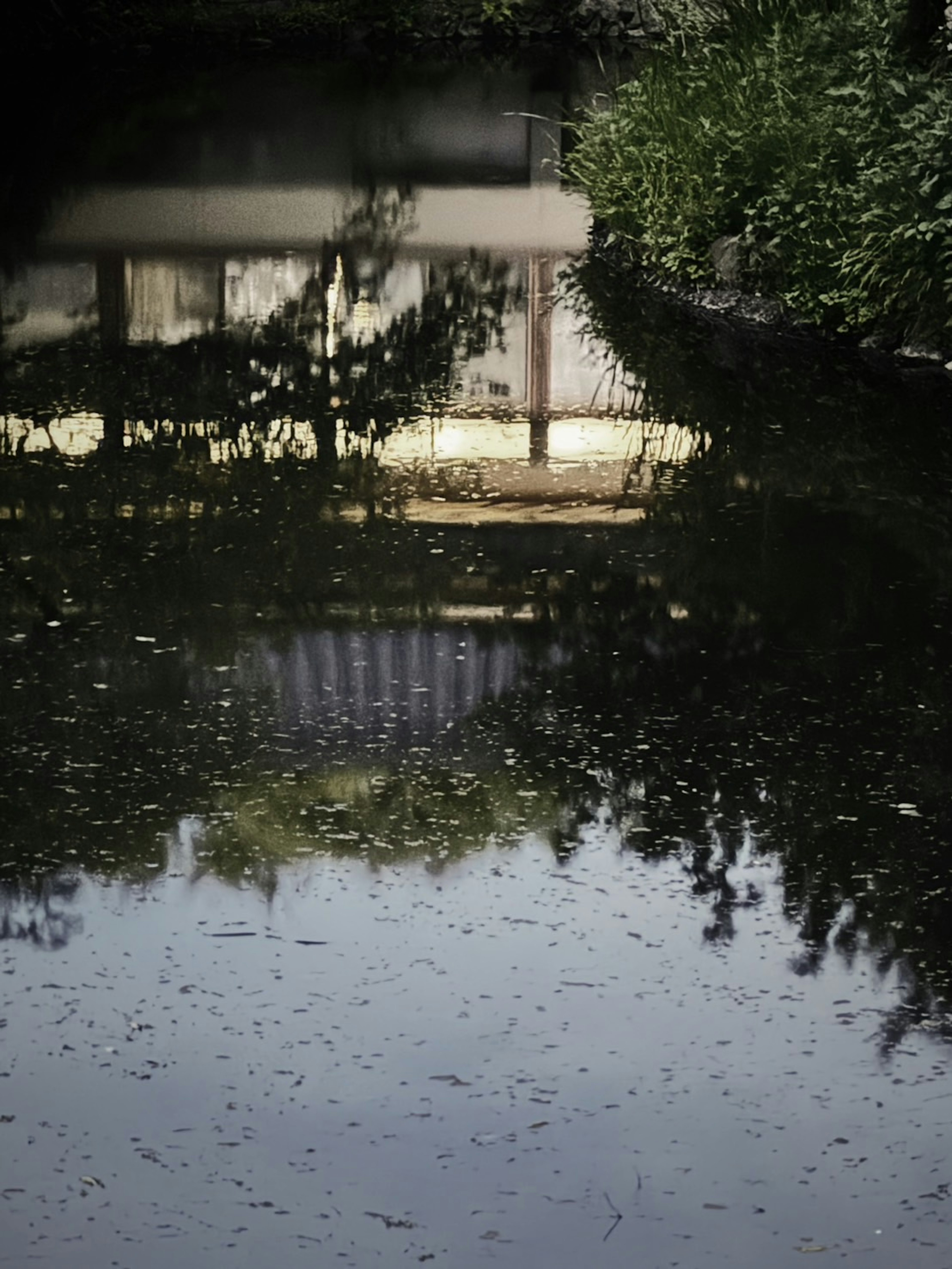 Riflesso di un vecchio edificio in un tranquillo stagno circondato da piante verdi e foglie cadute