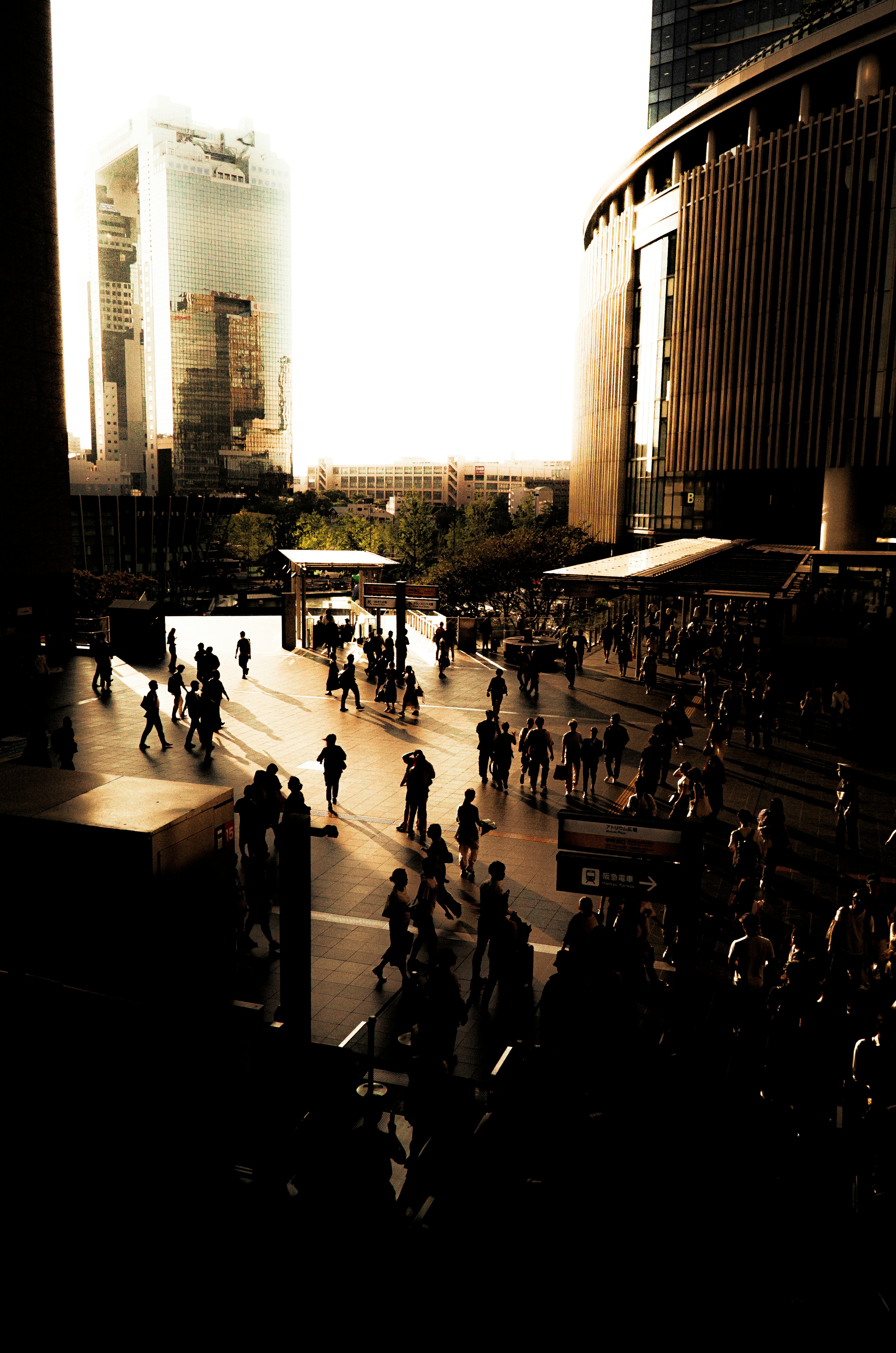 Crowd of people in a city square during sunset with long shadows