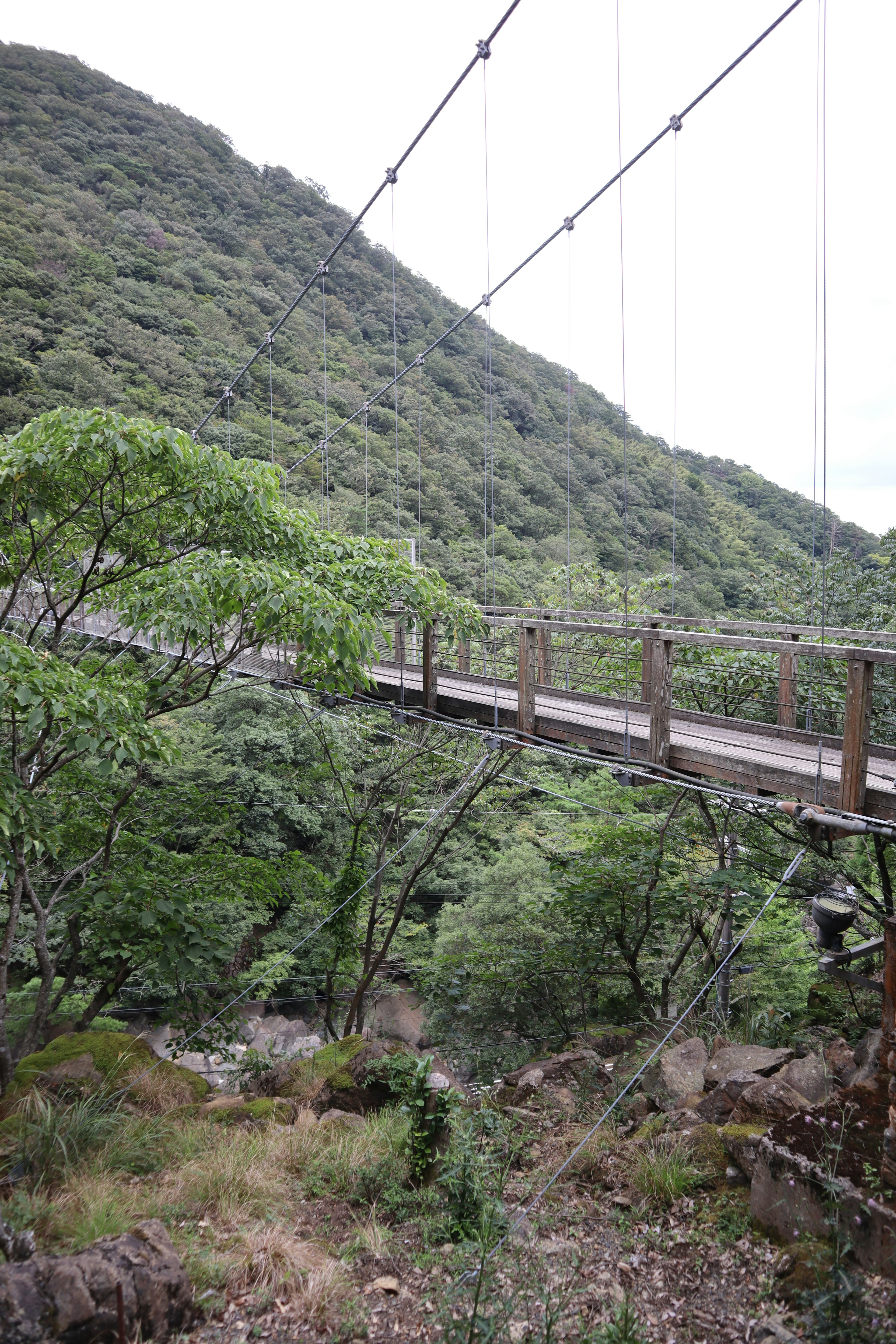 Suspension bridge surrounded by mountains and trees